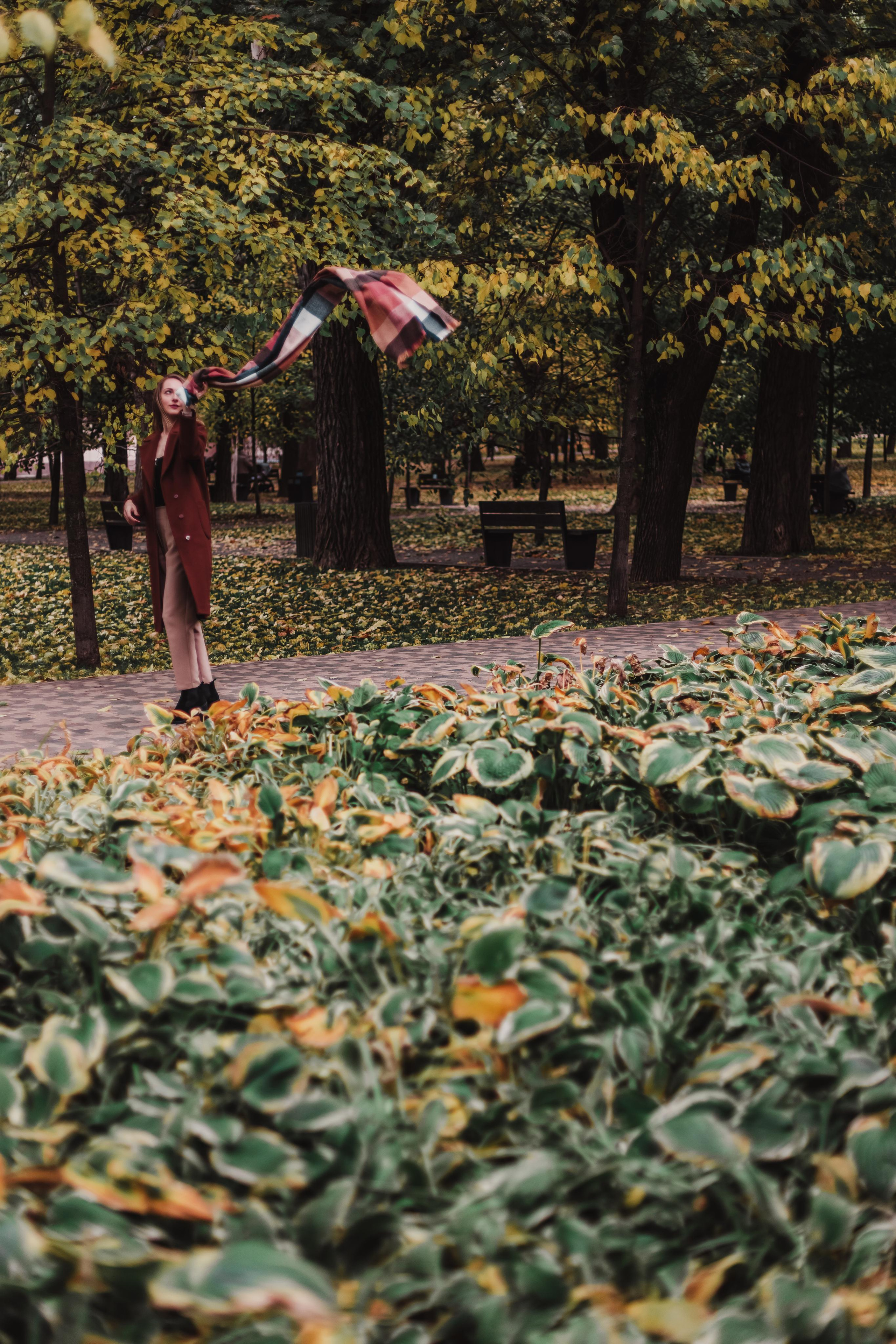 Кутаясь в осень. Mariam Bagdasaryan