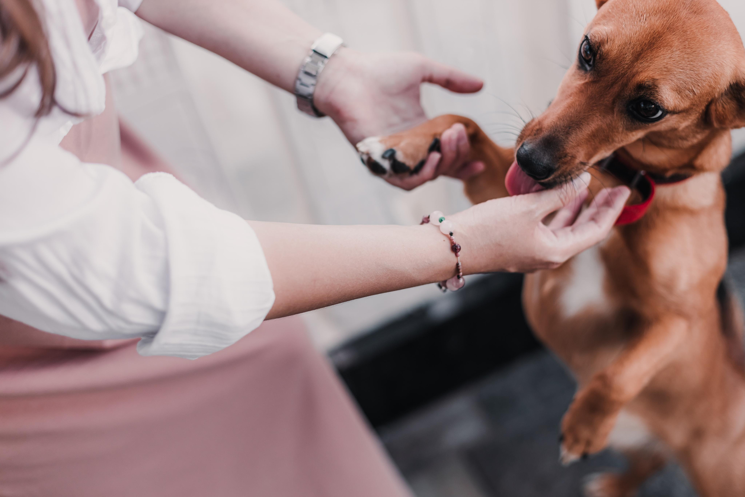 Год спустя. Mariam Bagdasaryan