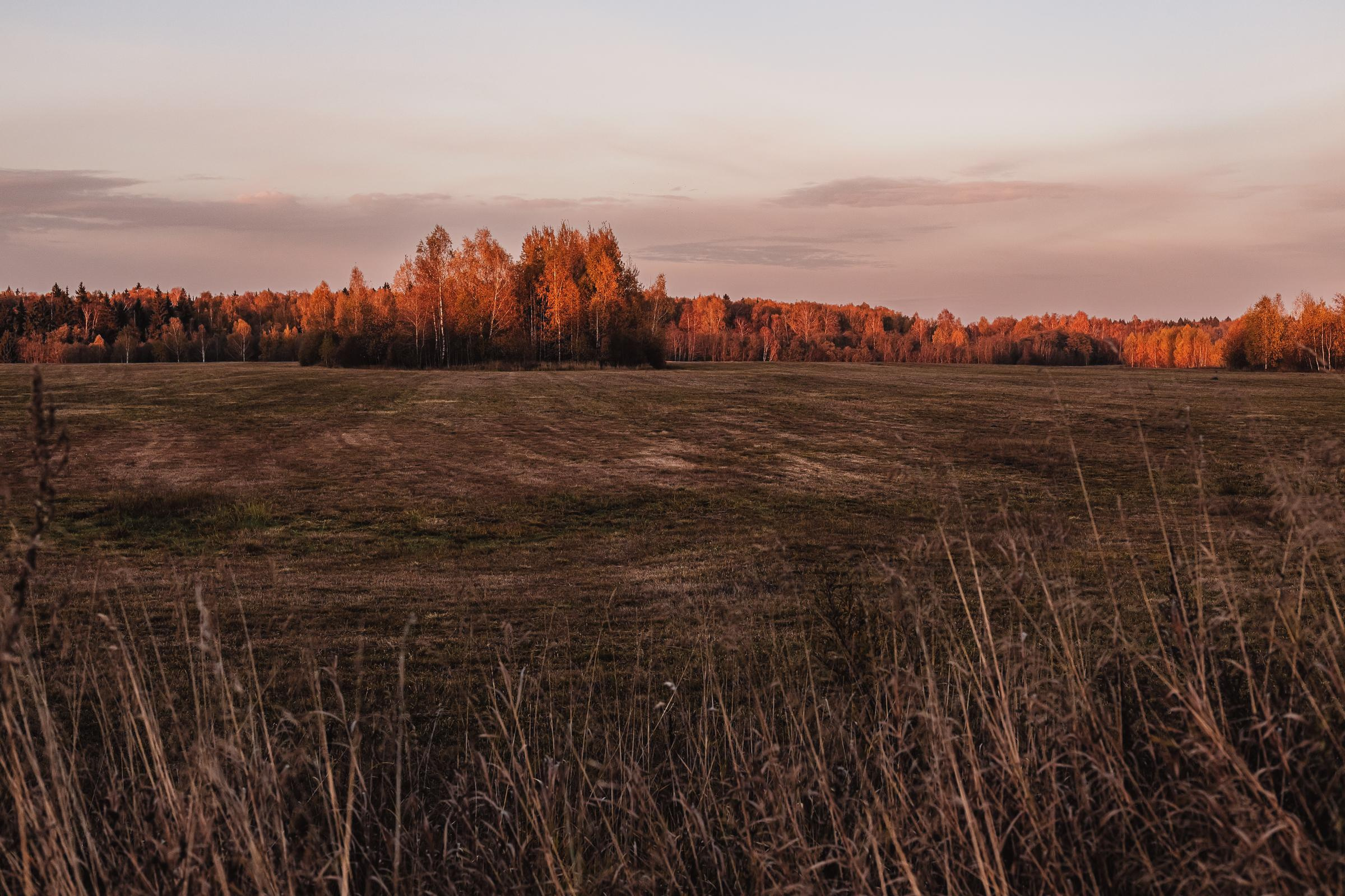 Как упоительны в России вечера. Mariam Bagdasaryan