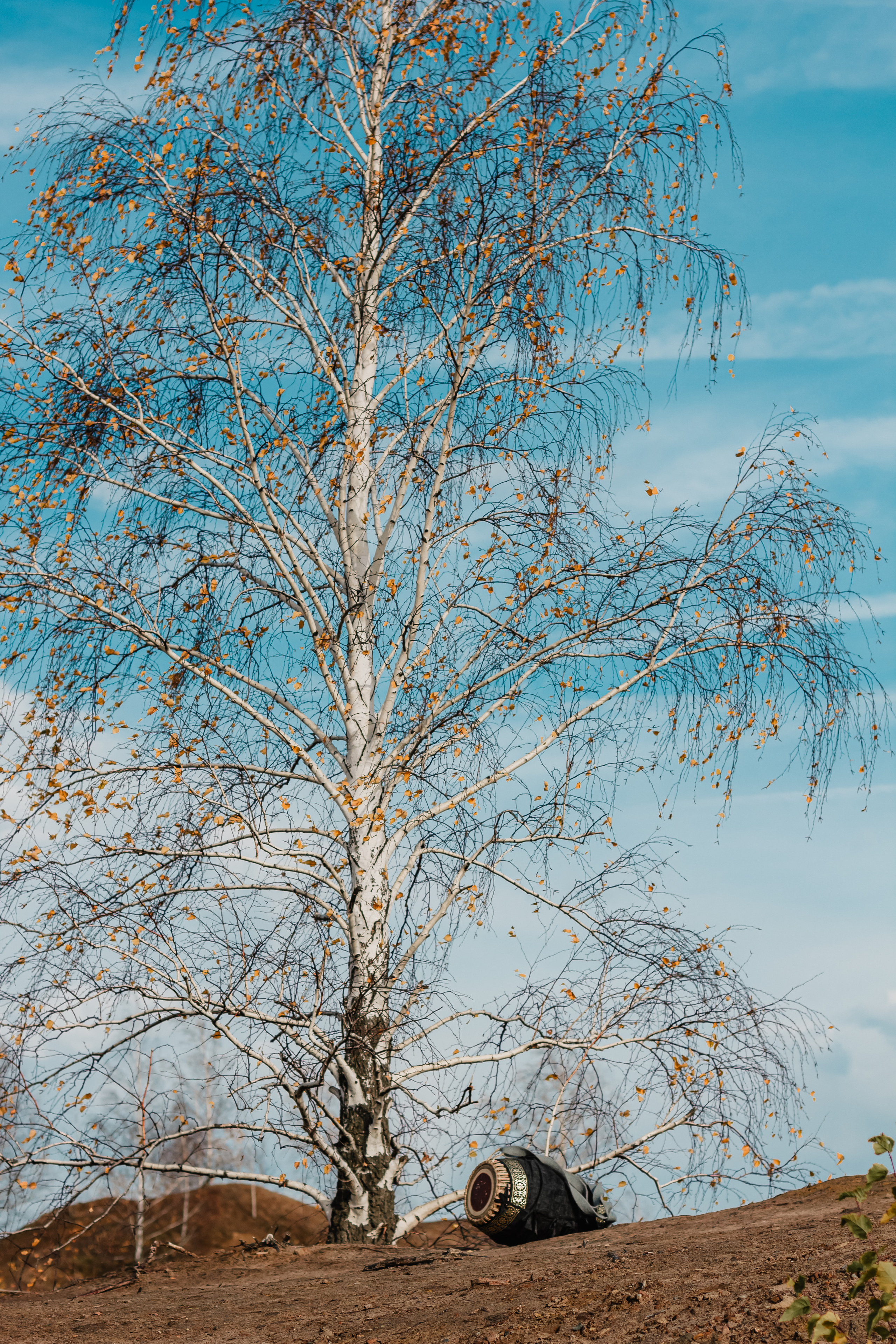 Мриданга горы осень. Мариам Багдасарян