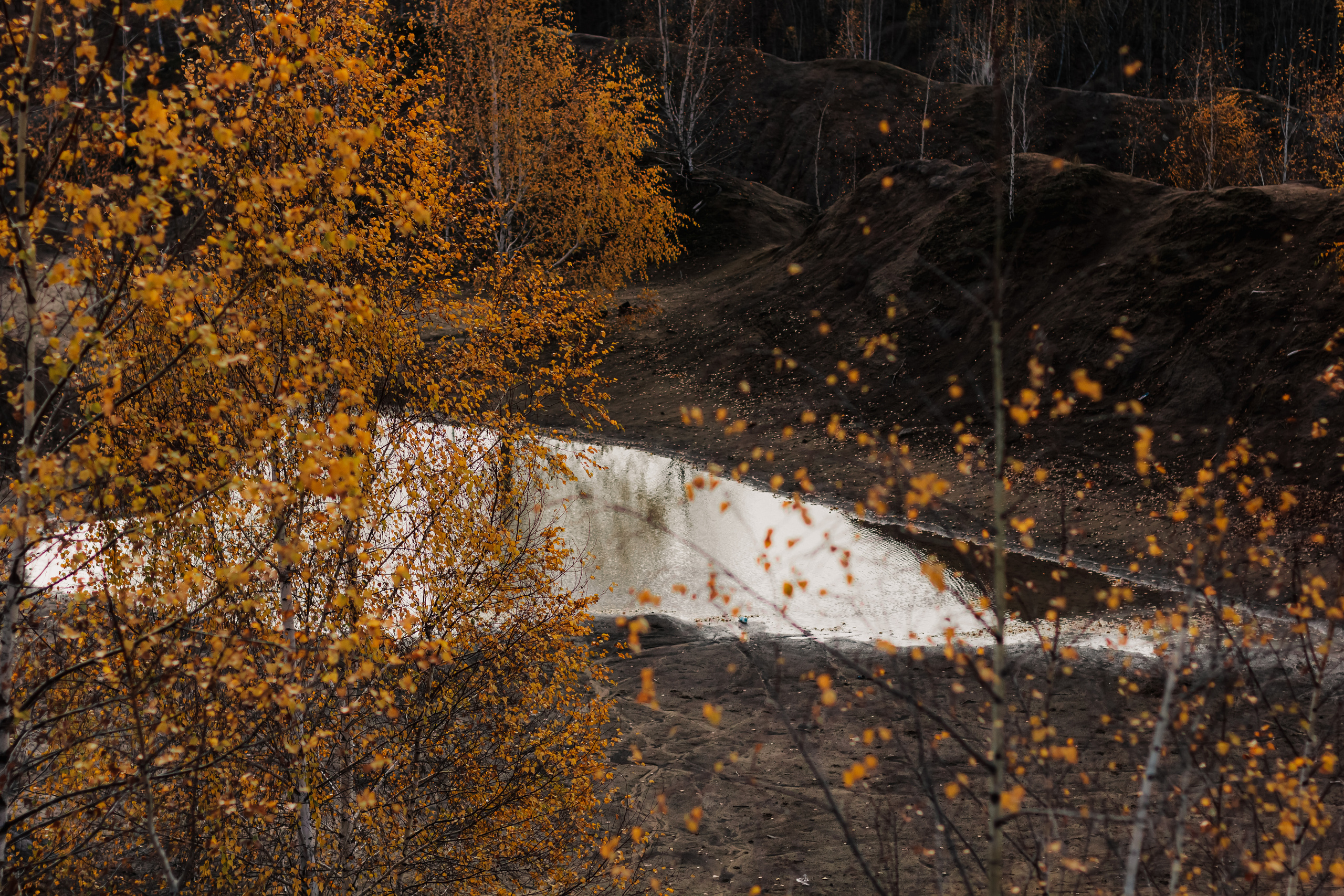 Мриданга горы осень. Мариам Багдасарян
