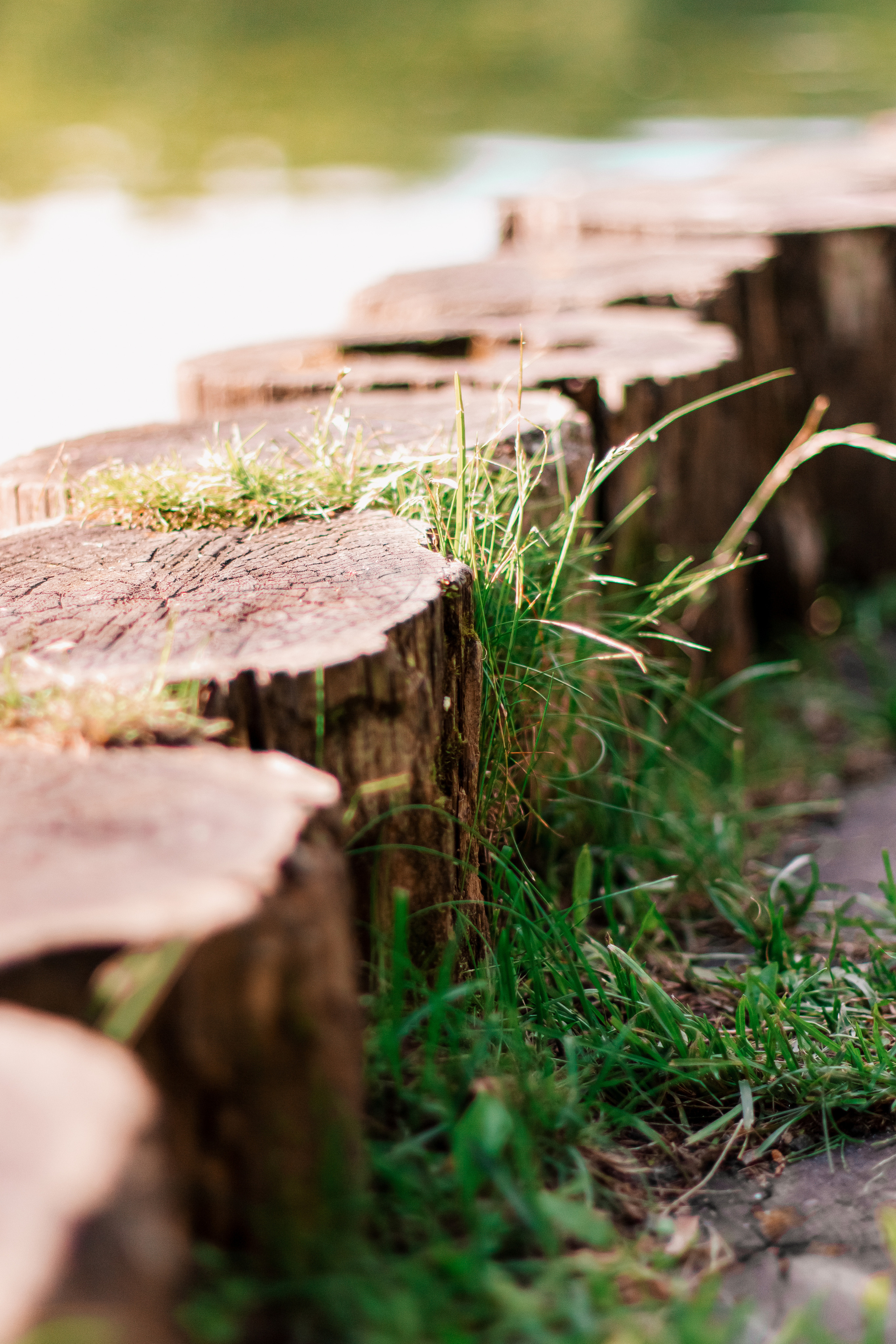 Италия в Москве. Мариам Багдасарян