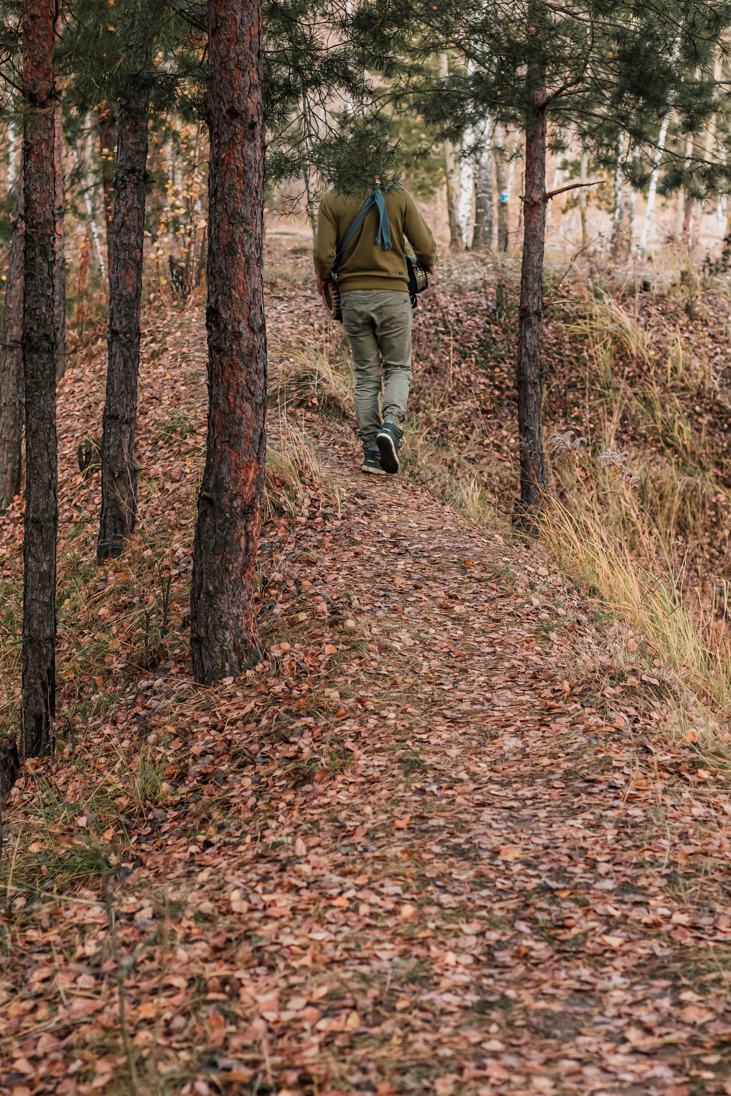 Мриданга горы осень. Мариам Багдасарян