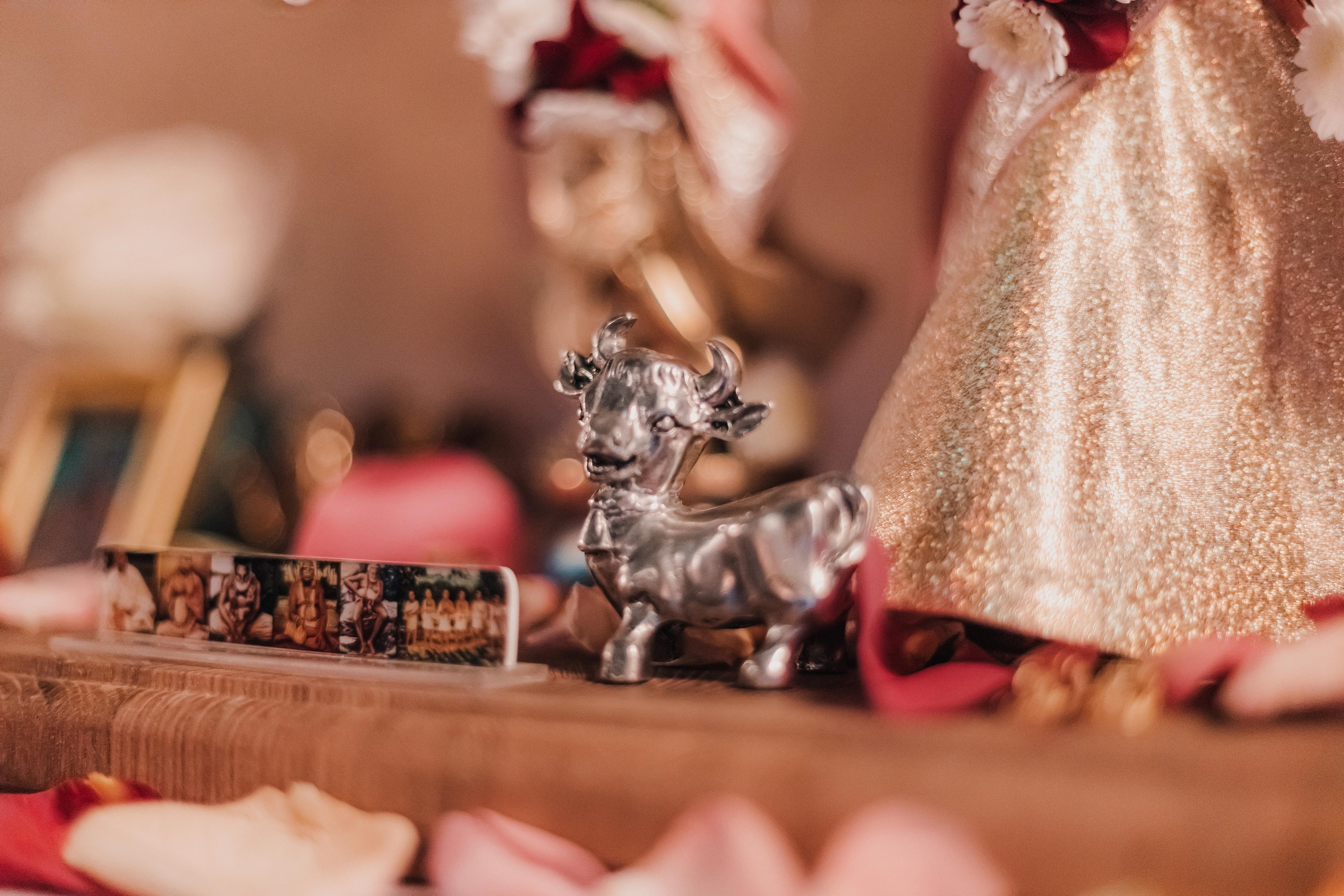 Киртаны Vrindavan Mellows. Мариам Багдасарян