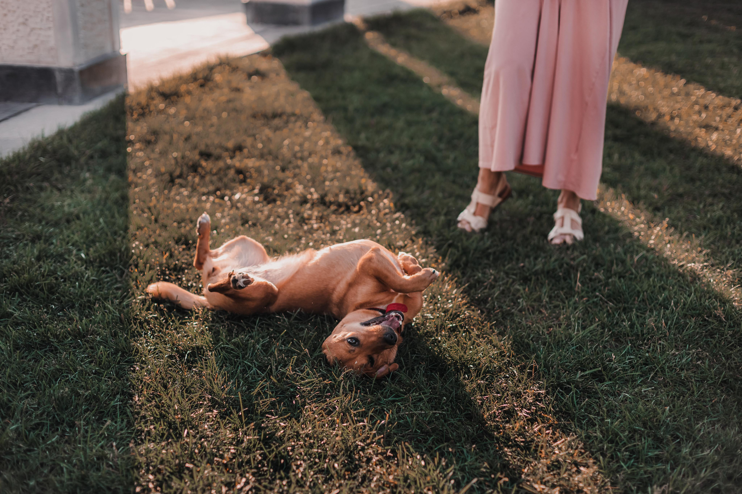 Год спустя. Mariam Bagdasaryan