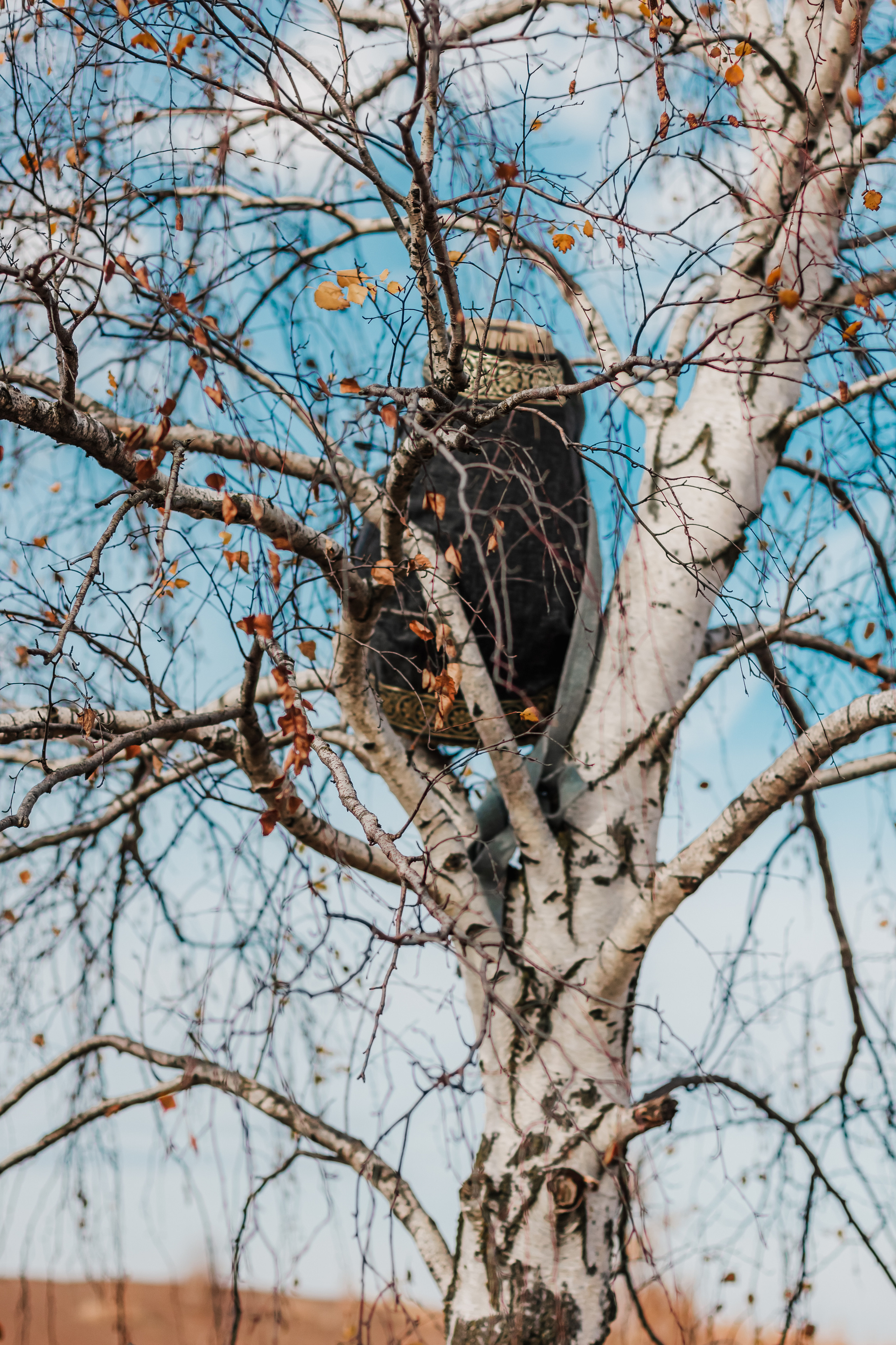 Мриданга горы осень. Мариам Багдасарян