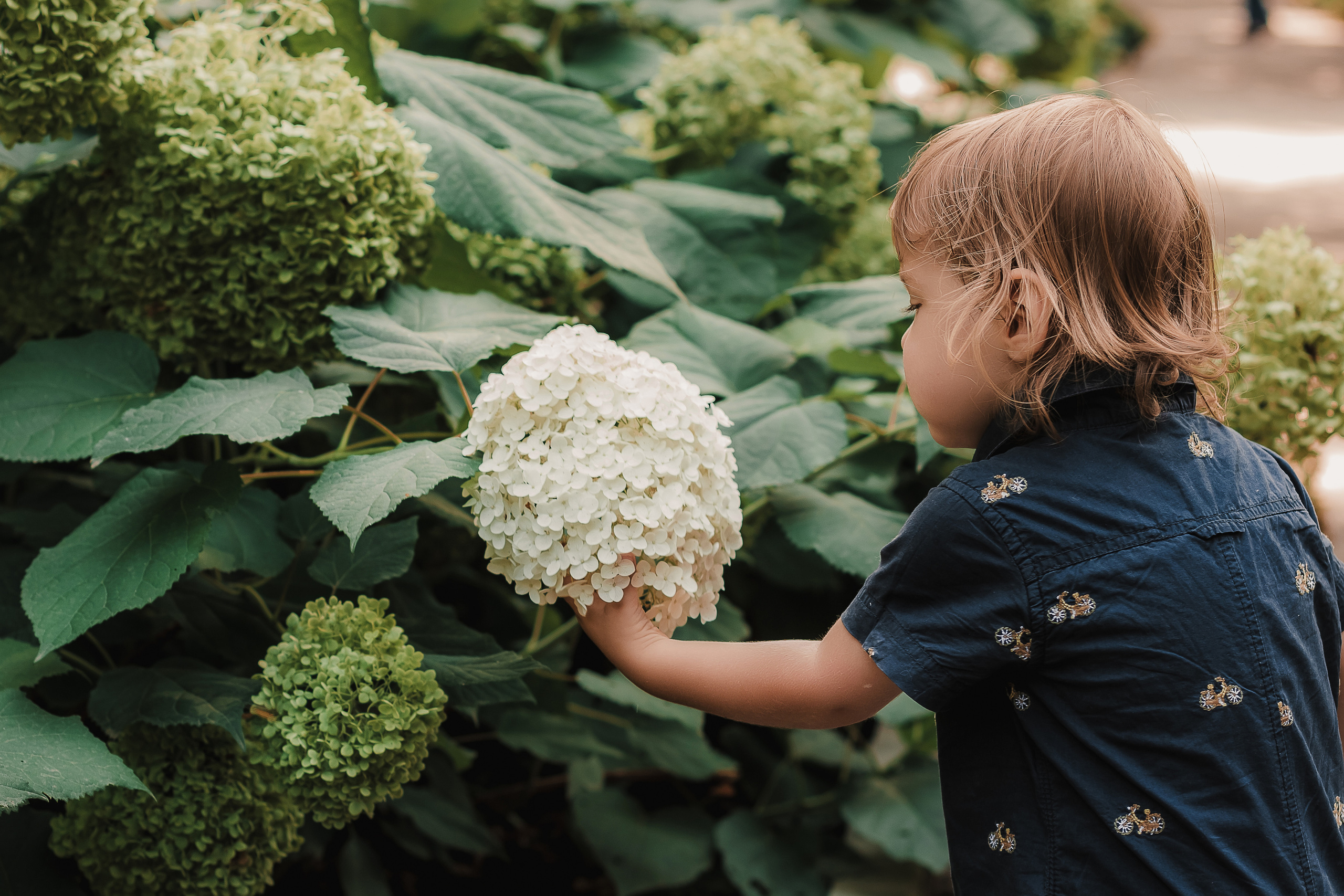 С детством за руку. Mariam Bagdasaryan