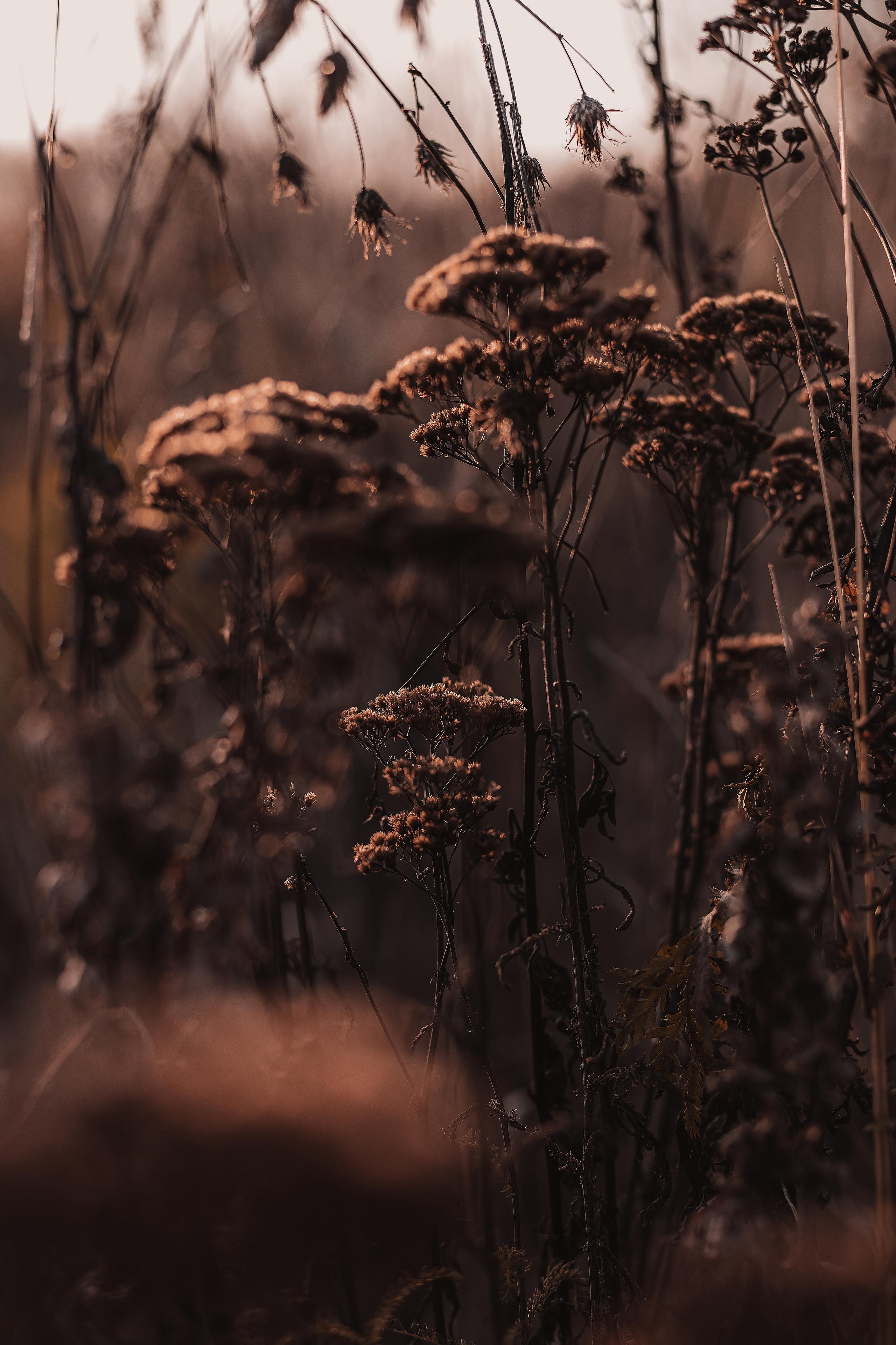 Как упоительны в России вечера. Mariam Bagdasaryan