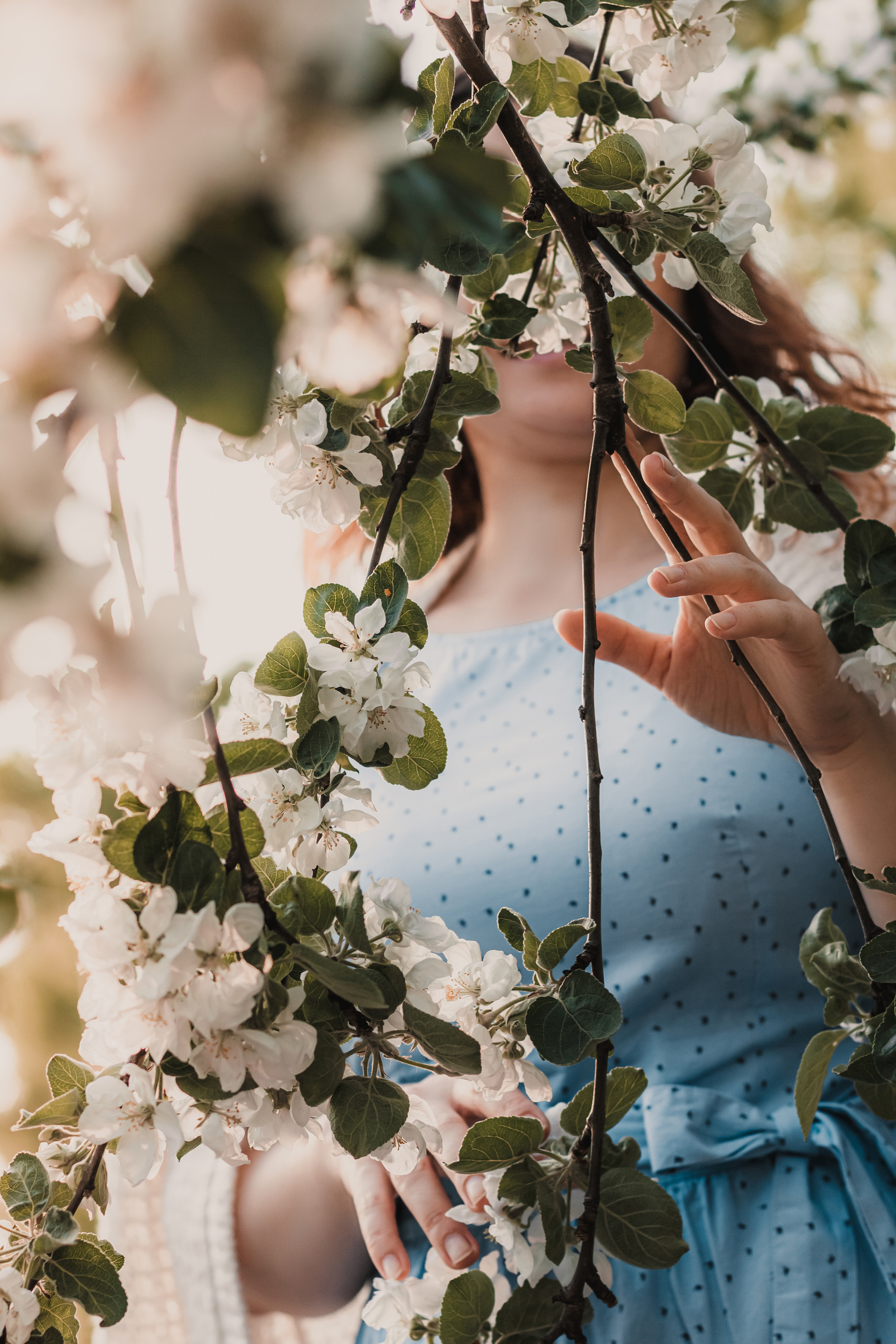 Расцветай. Mariam Bagdasaryan