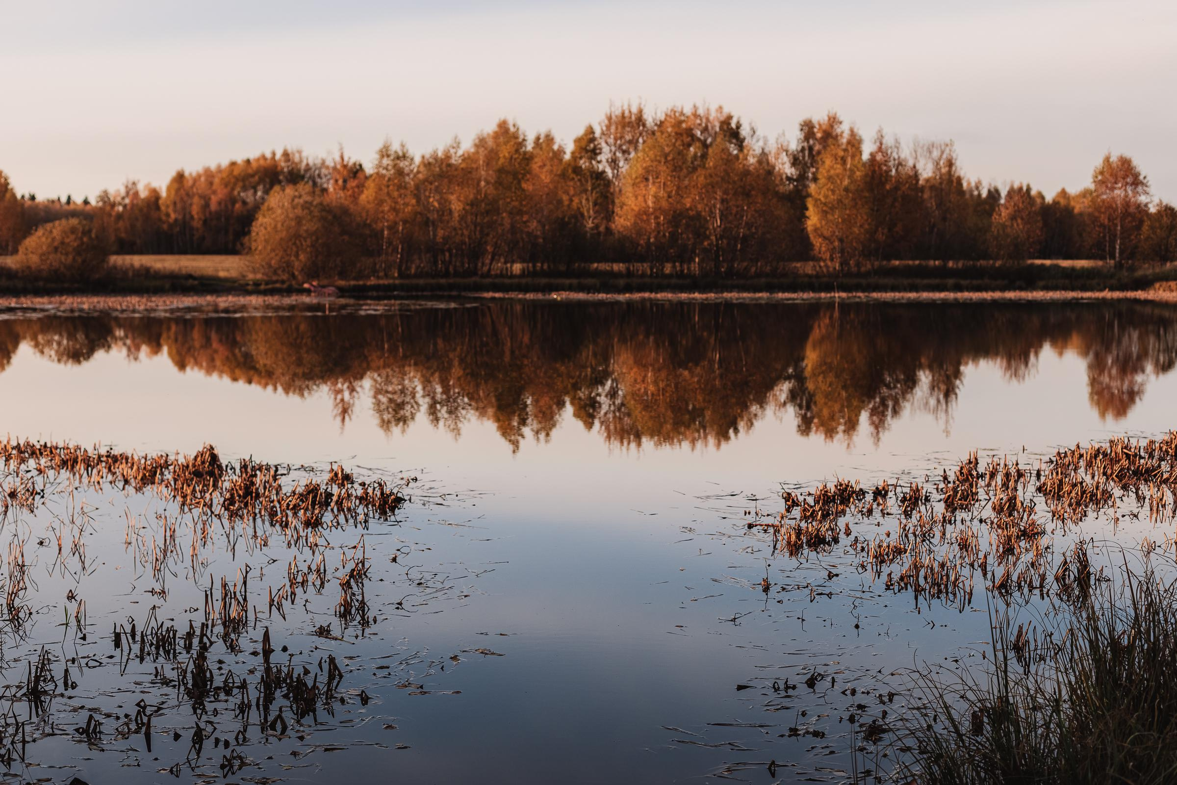 Как упоительны в России вечера. Mariam Bagdasaryan