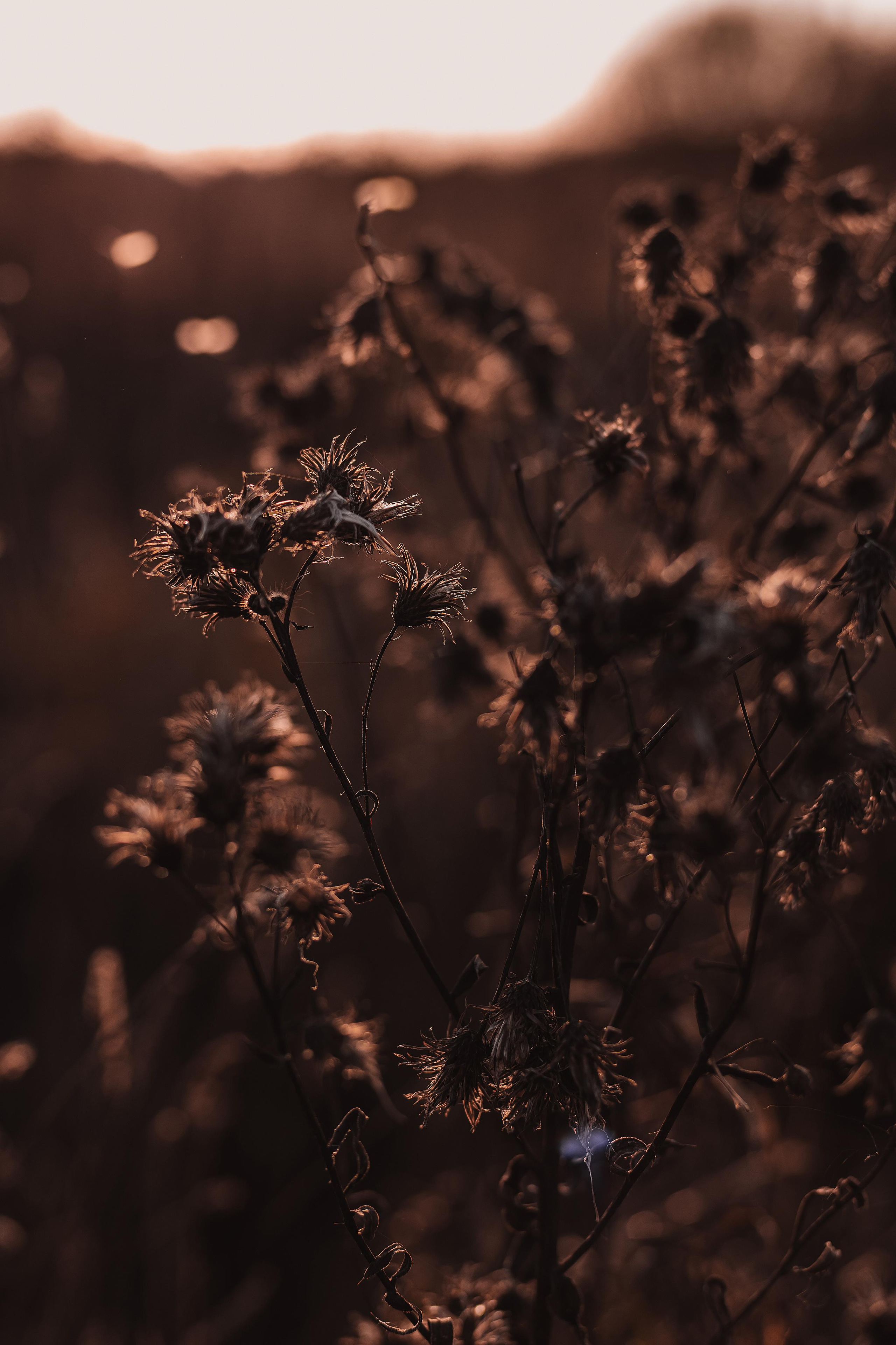 Как упоительны в России вечера. Mariam Bagdasaryan