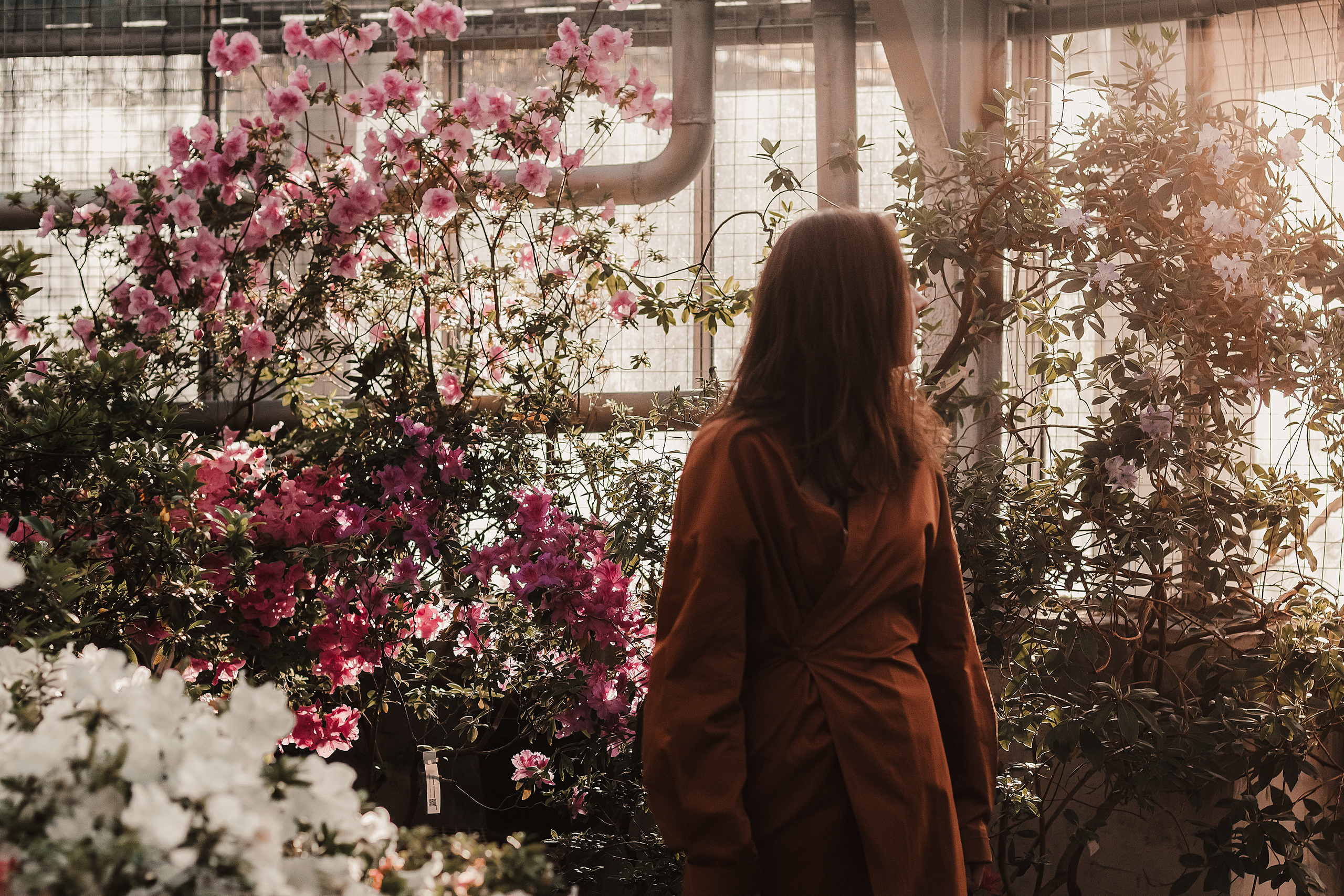 Тропики в городе. Мариам Багдасарян