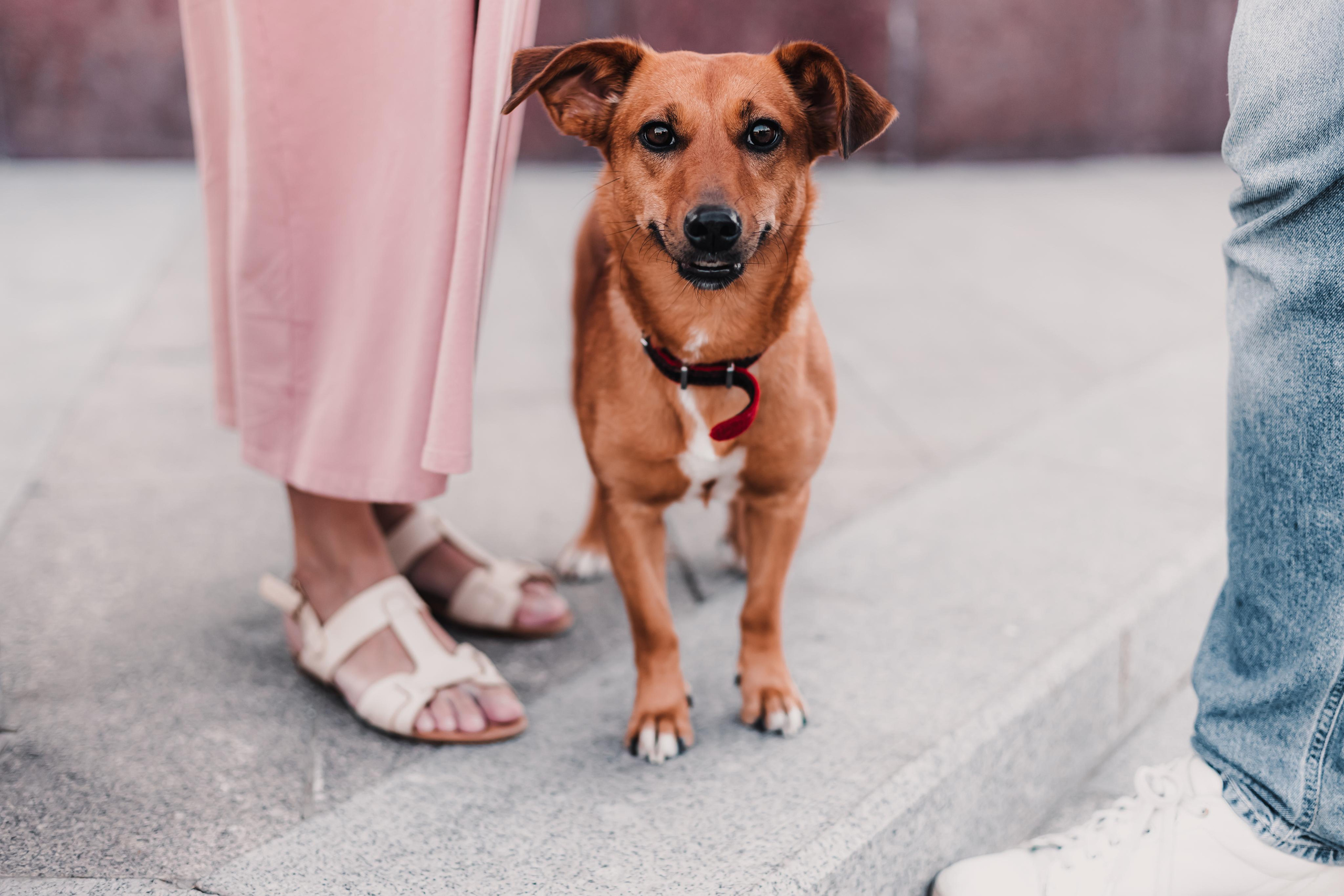 Год спустя. Mariam Bagdasaryan