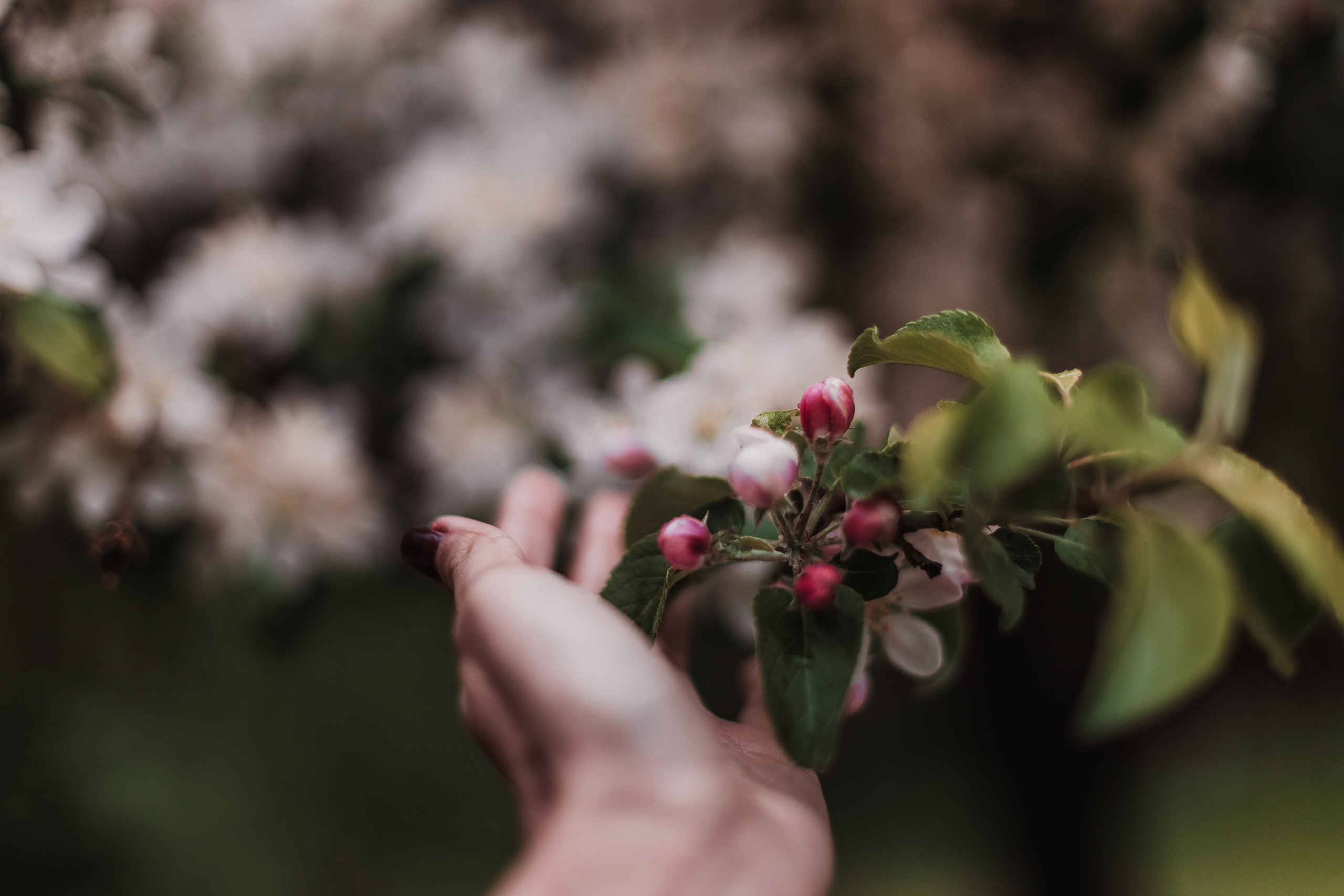 Розовые облака. Мариам Багдасарян