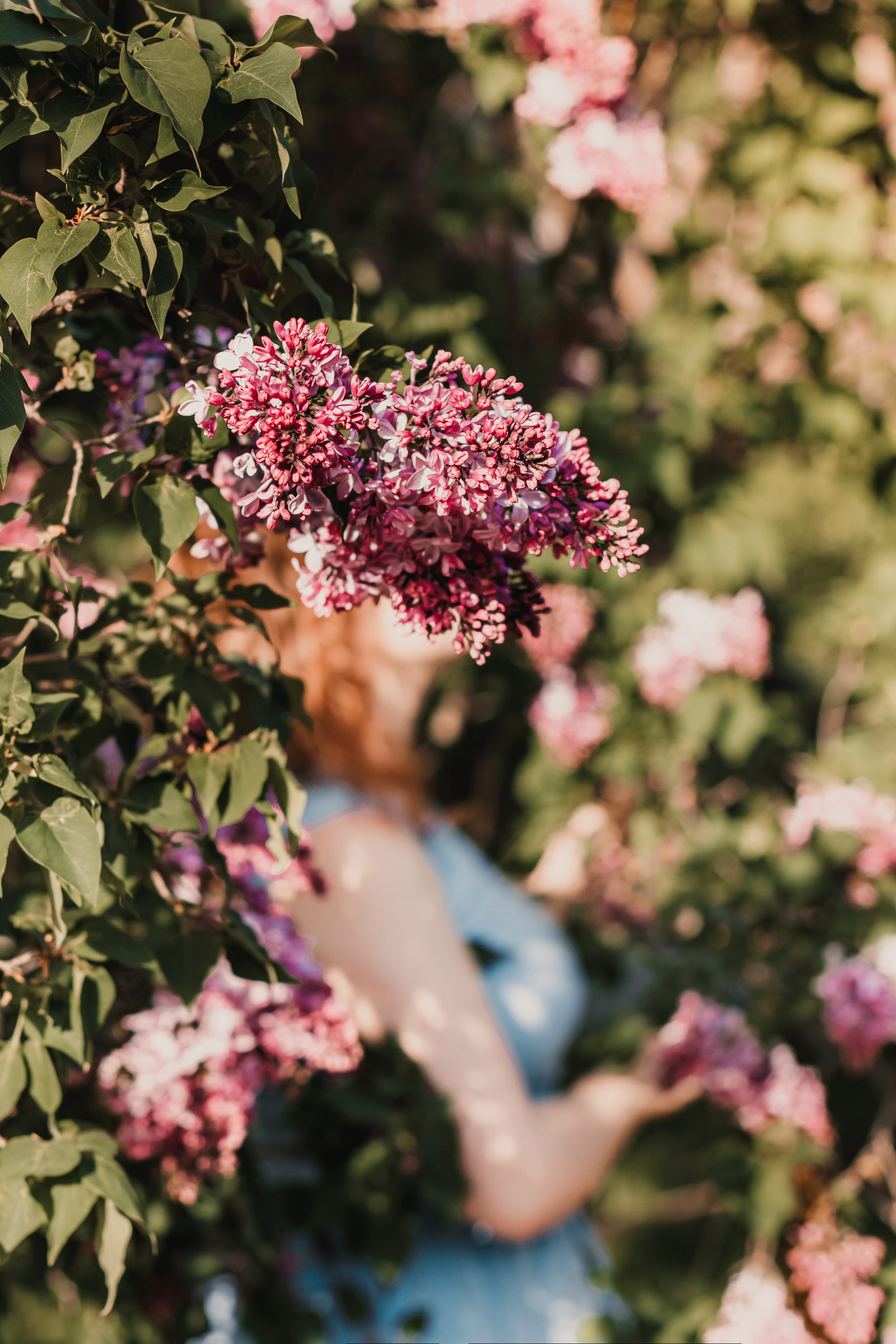 Расцветай. Mariam Bagdasaryan