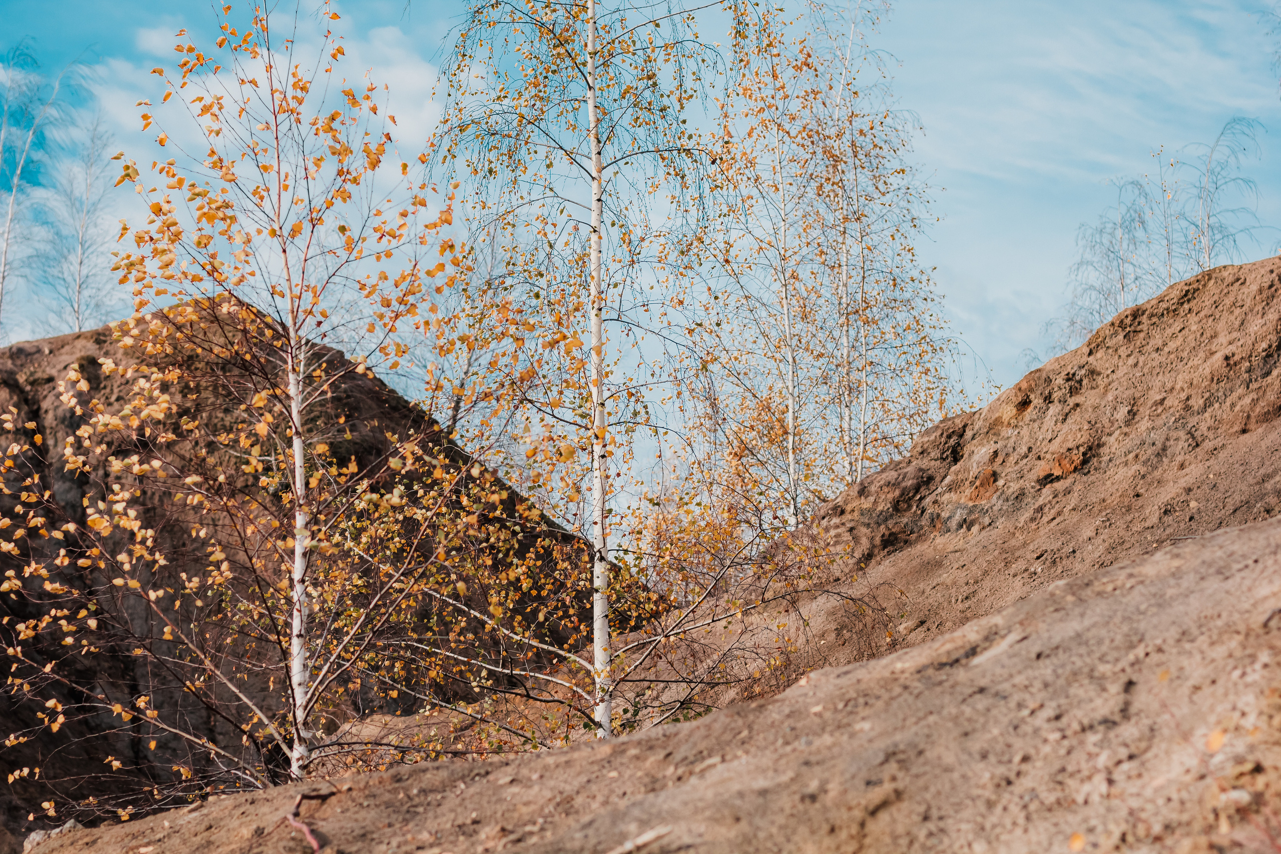 Мриданга горы осень. Мариам Багдасарян