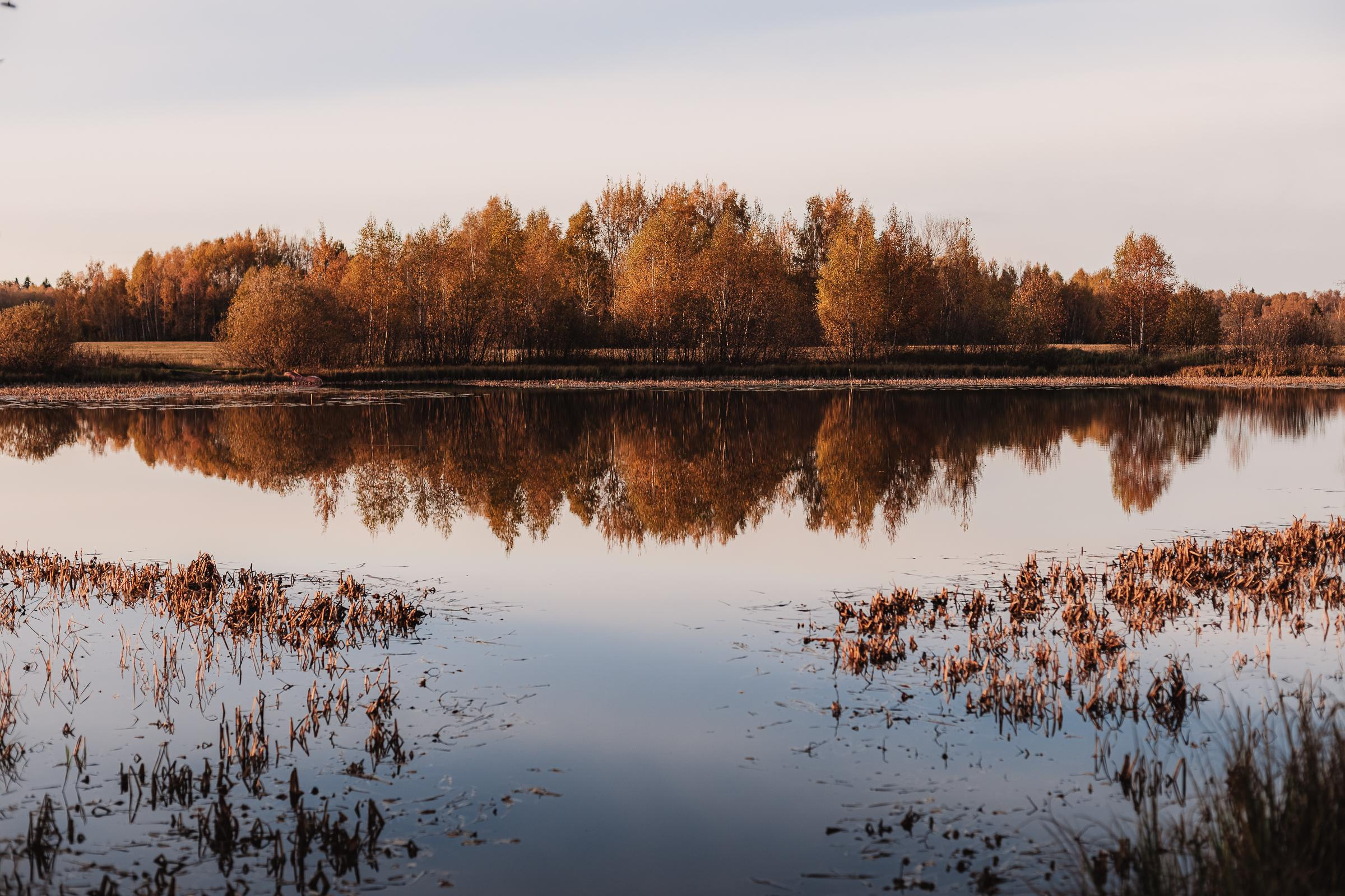 Как упоительны в России вечера. Mariam Bagdasaryan