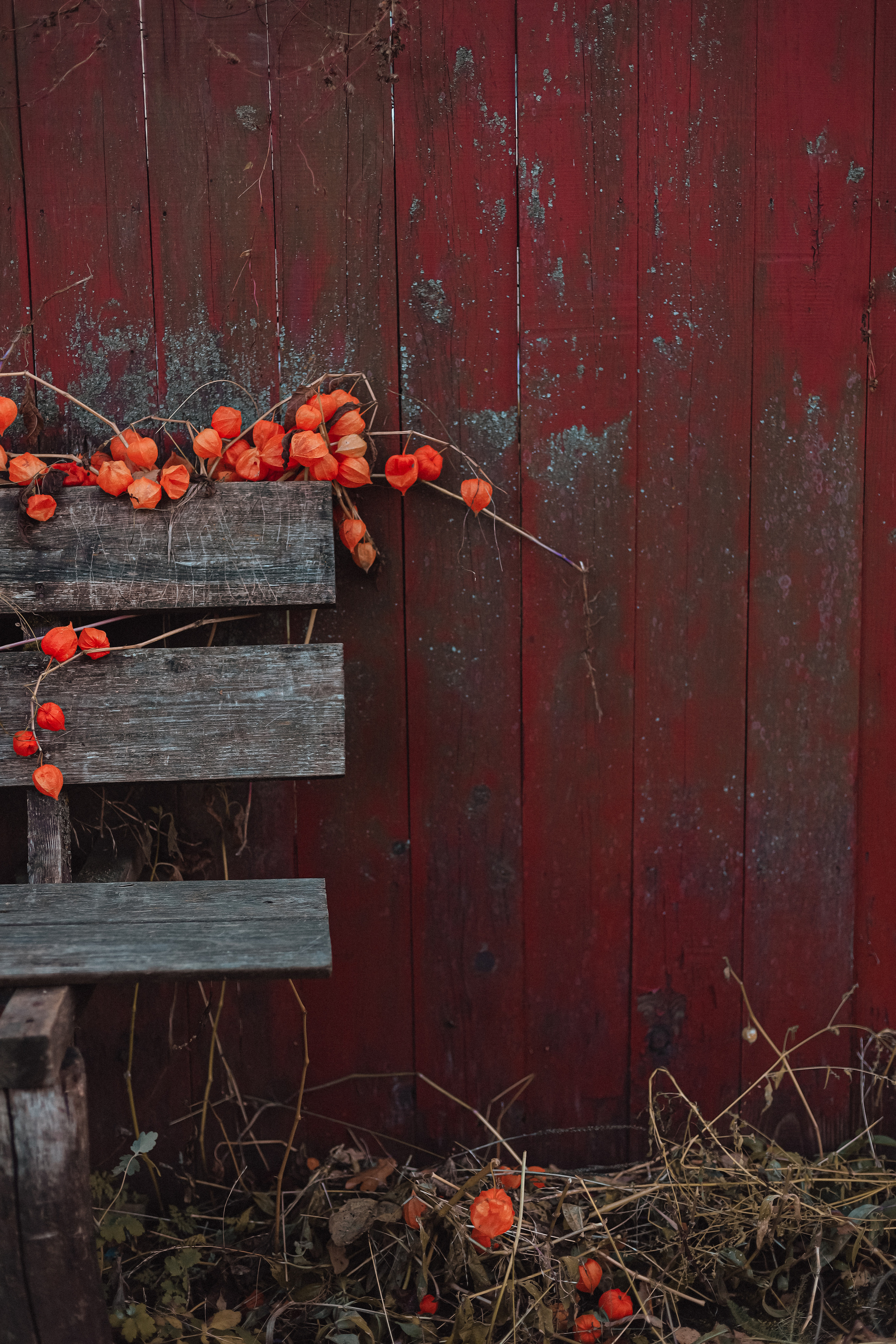 Как упоительны в России вечера. Mariam Bagdasaryan