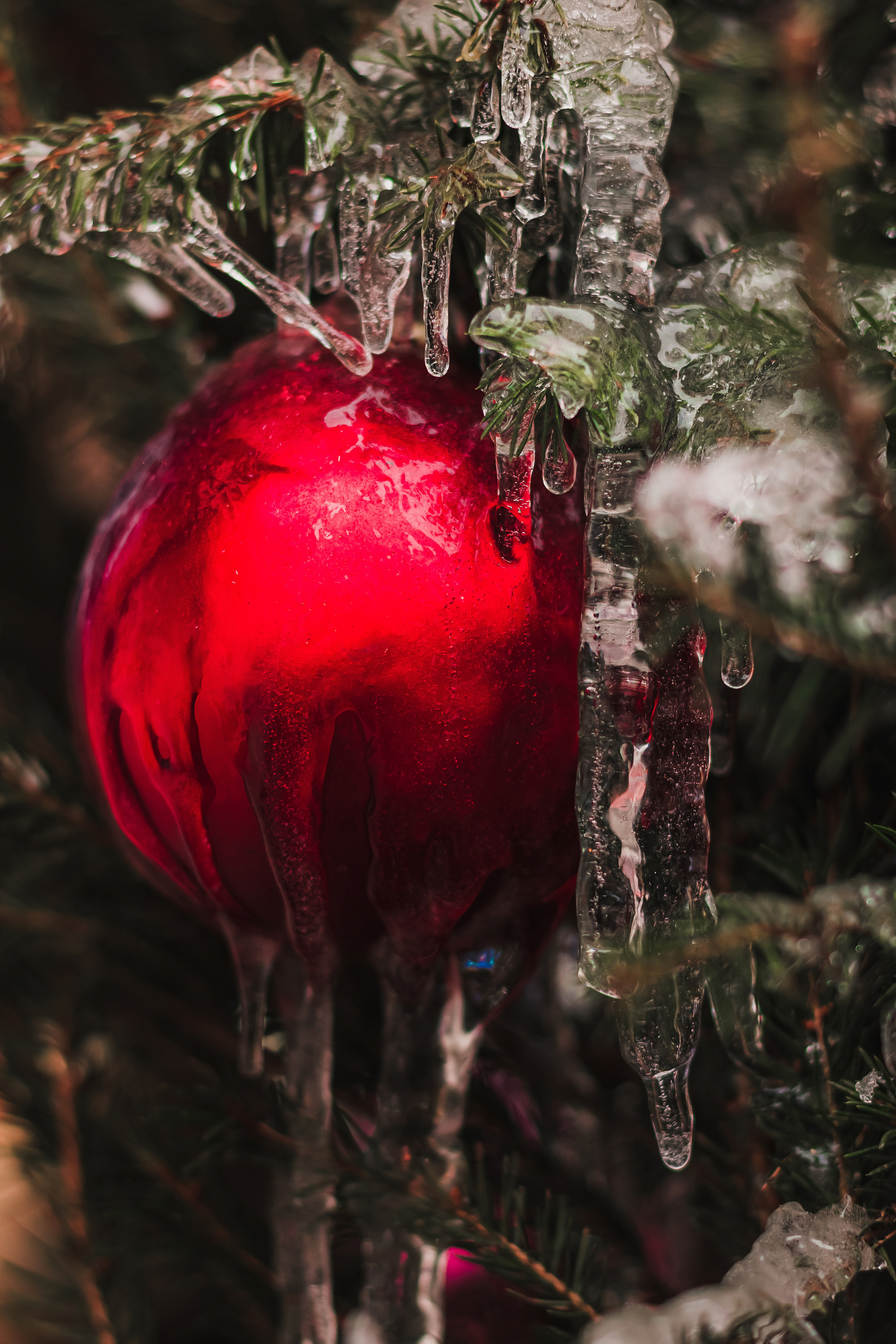 Праздничные будни на Красной. Mariam Bagdasaryan