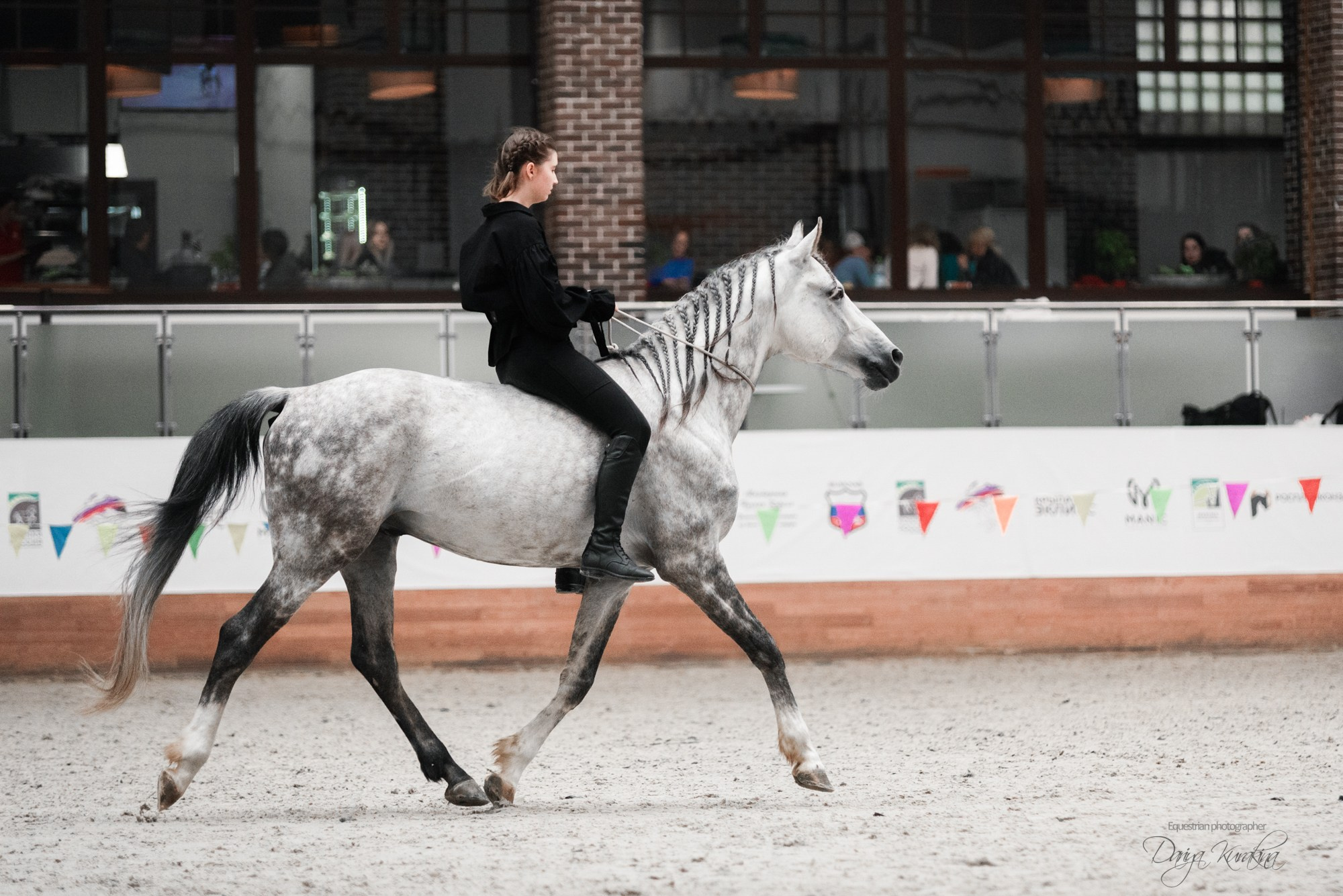 8-я международная выставка Конная Россия. Конный фотограф Куракина Дарья • Фотосессии с лошадьми