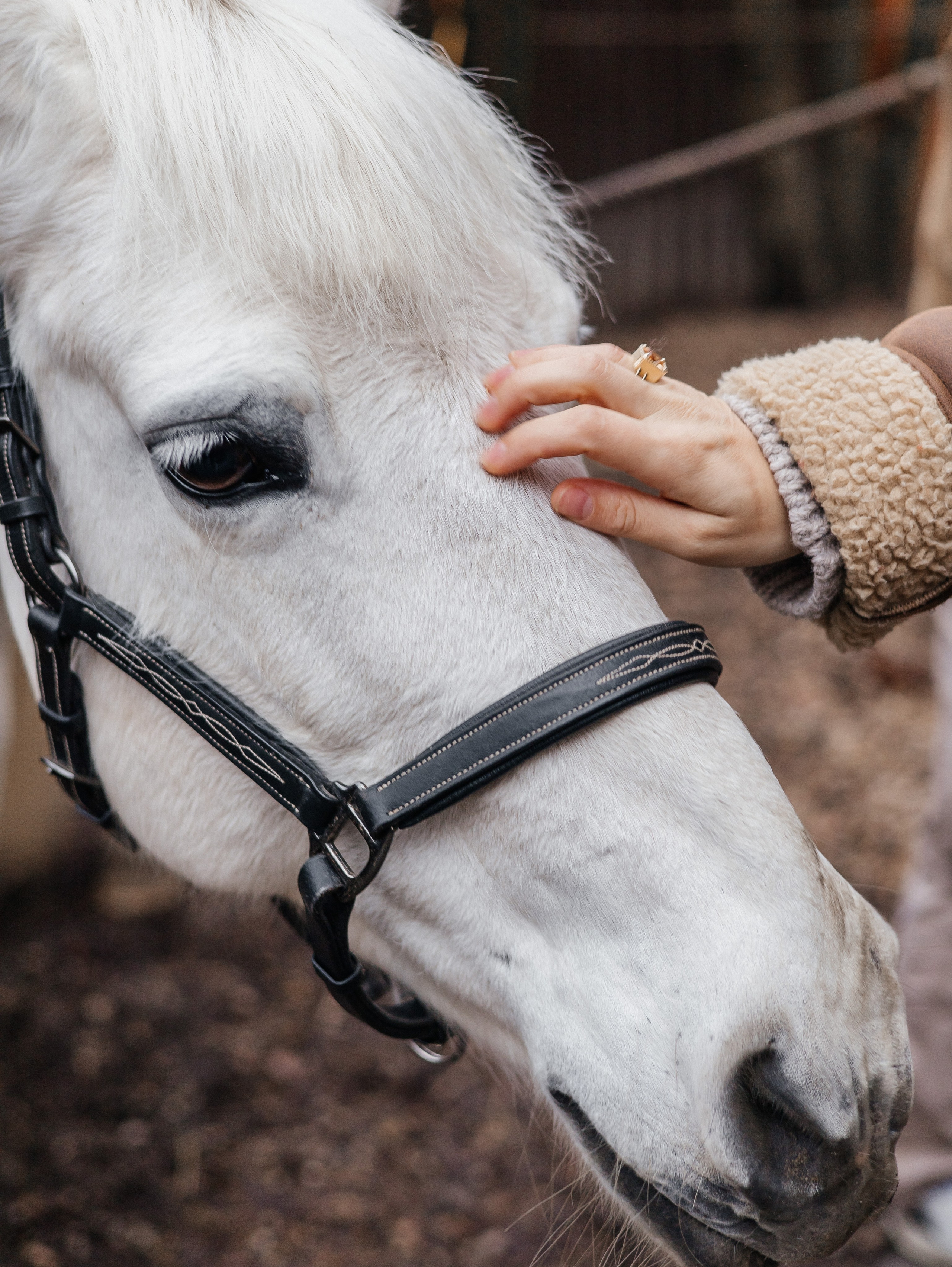 Ферма «Few Horses». Фотограф | портрет | бренды | репортаж