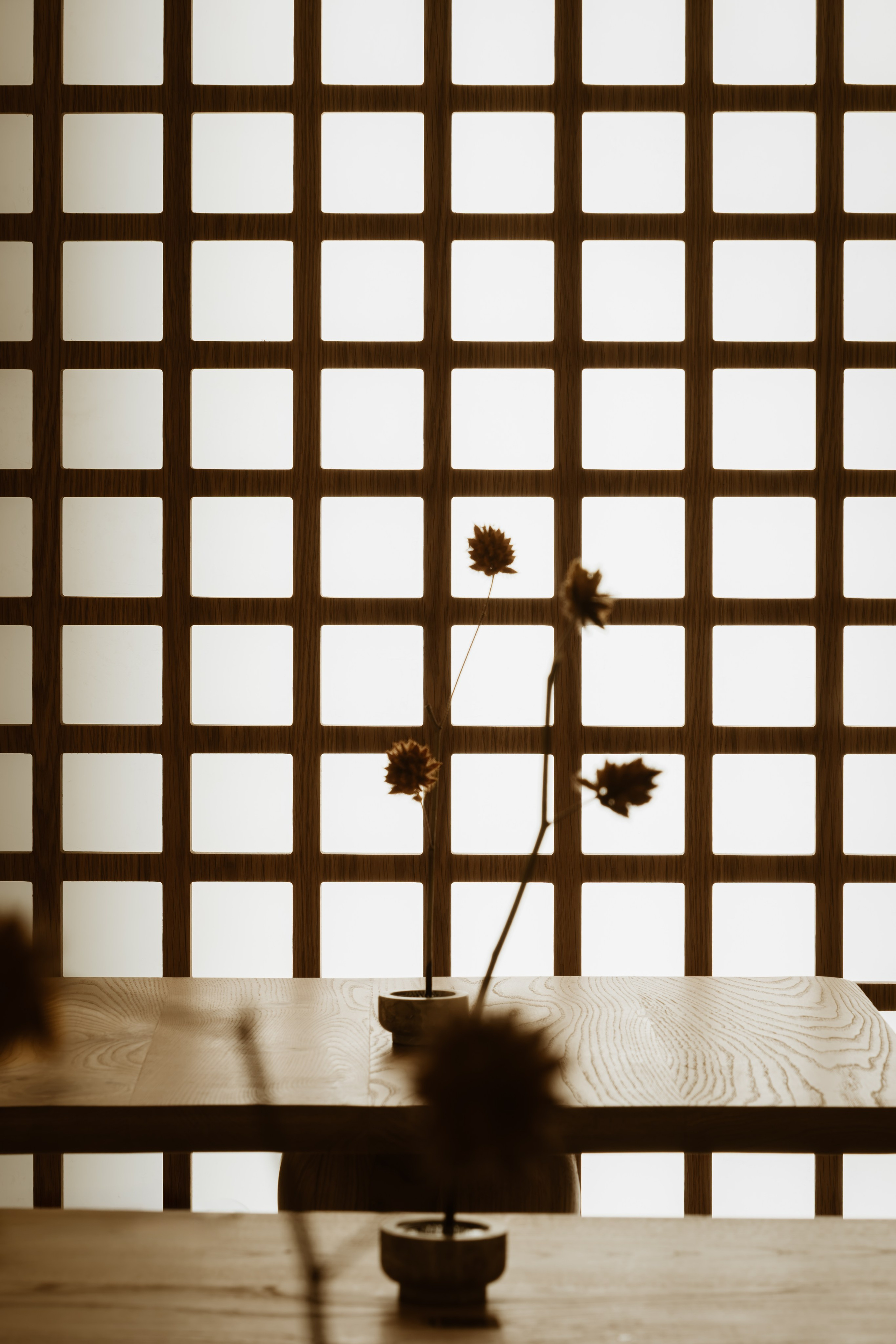 Кафе MAIZEN в Тбилиси. Ekaterina Symidi — Interior Photographer