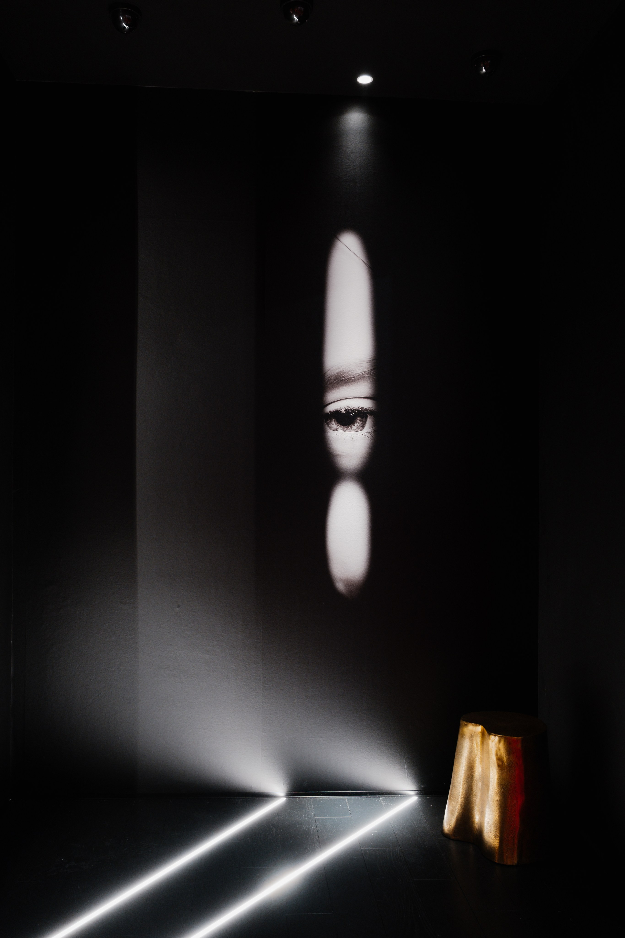 Design Arena Forum. Ekaterina Symidi. Interior Photographer