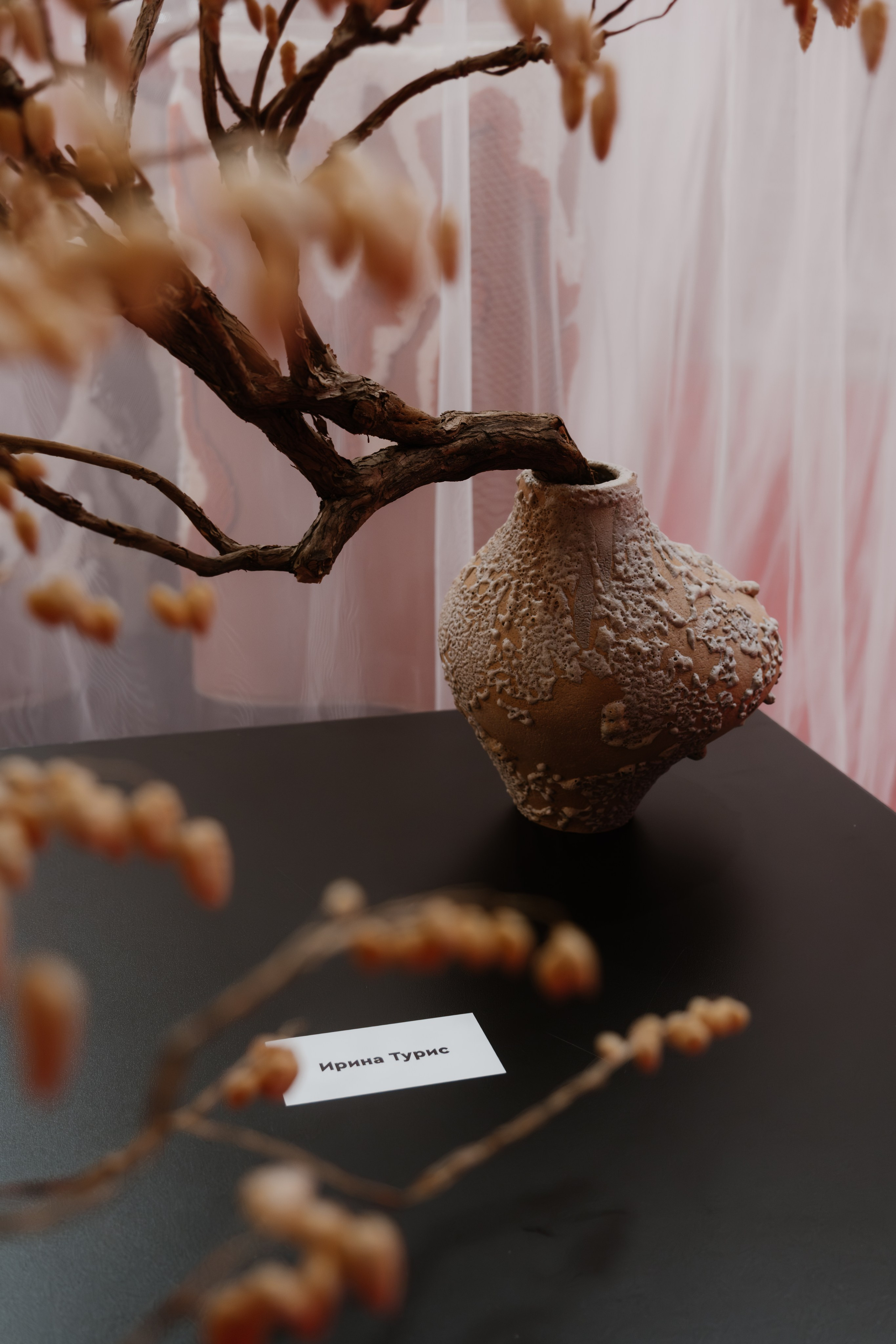 Design Arena Forum. Ekaterina Symidi. Interior Photographer