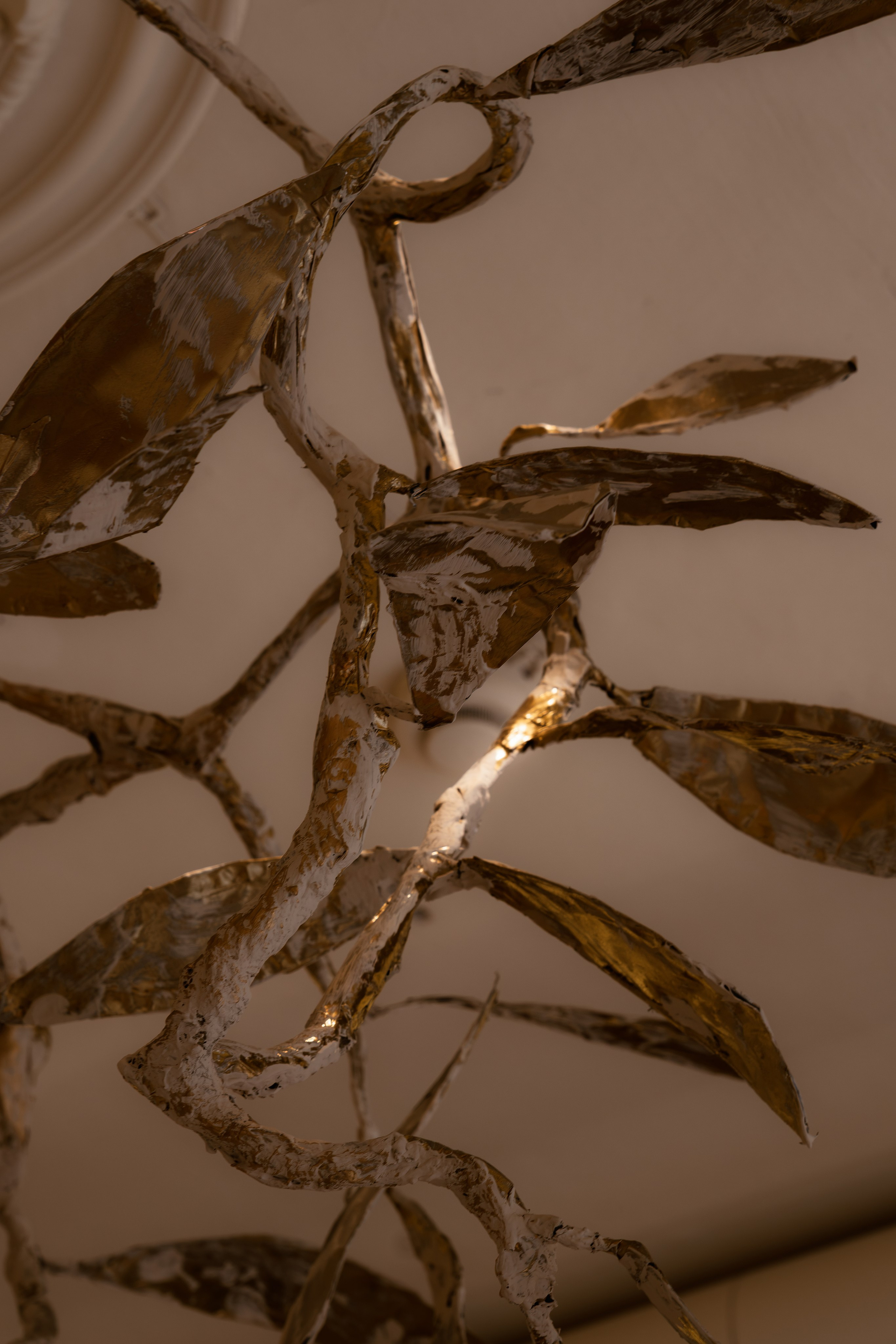 Way Camelia Boutique. Ekaterina Symidi. Interior Photographer
