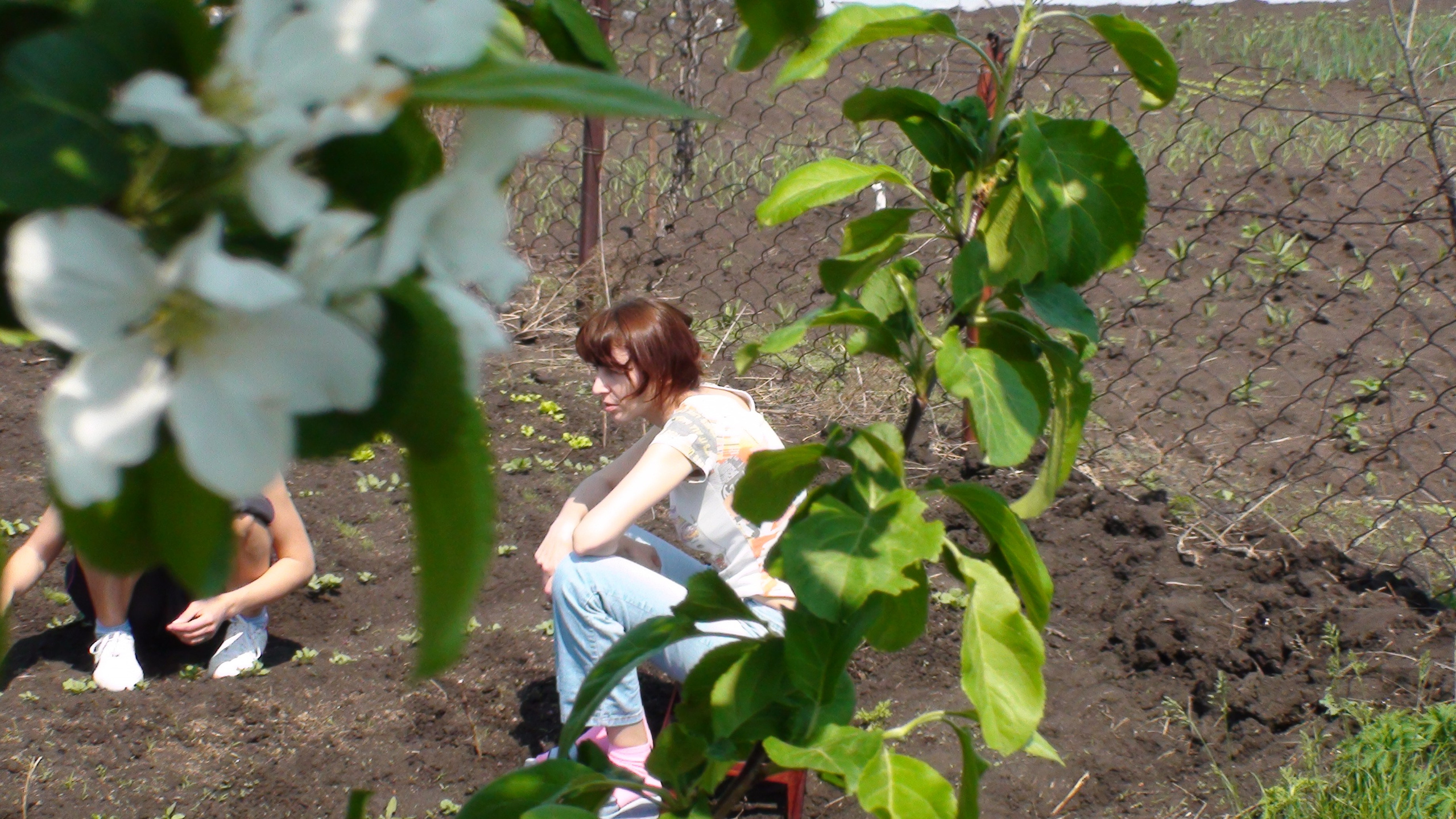 Дача 07.06.2009. Семейный, Свадебный фотограф СПБ Питер— Романова Екатерина