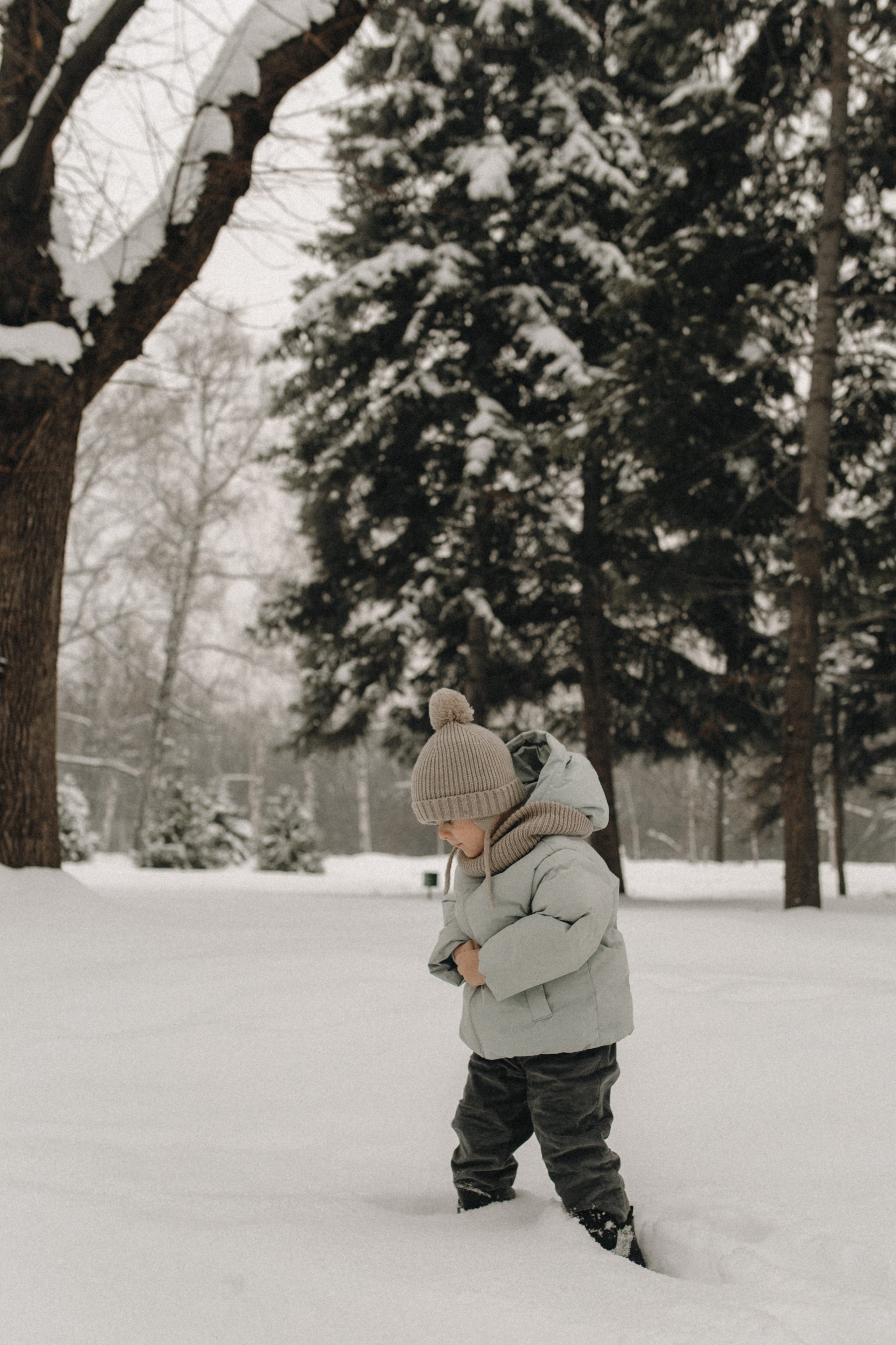 17 декабря. Alyona Latysheva / Photographer / Almaty