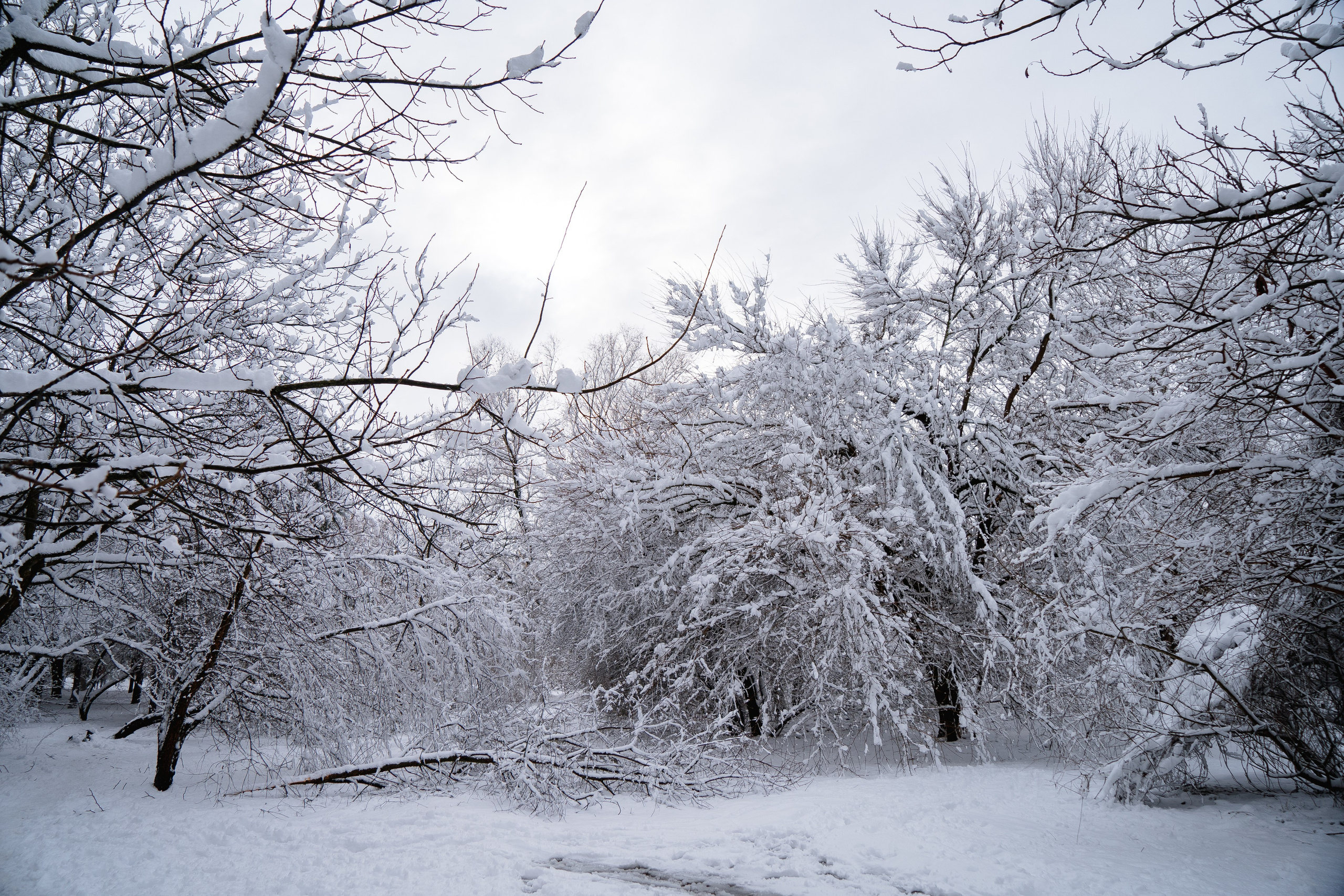 Зима 2024. Свадебный и семейный фотограф/видеограф в Краснодаре Наталья Осинская