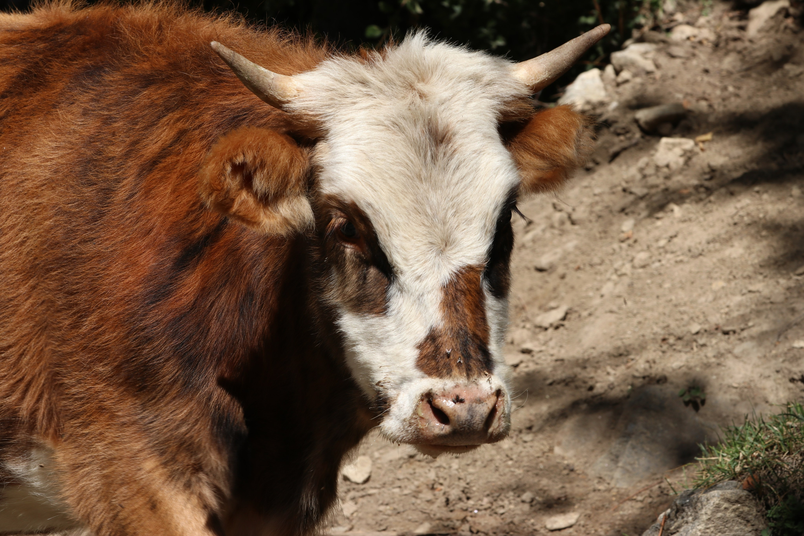 Приэльбрусье. Сентябрь 2023. Путешественник-фотограф из Санкт-Петербурга Татьяна Свистулина