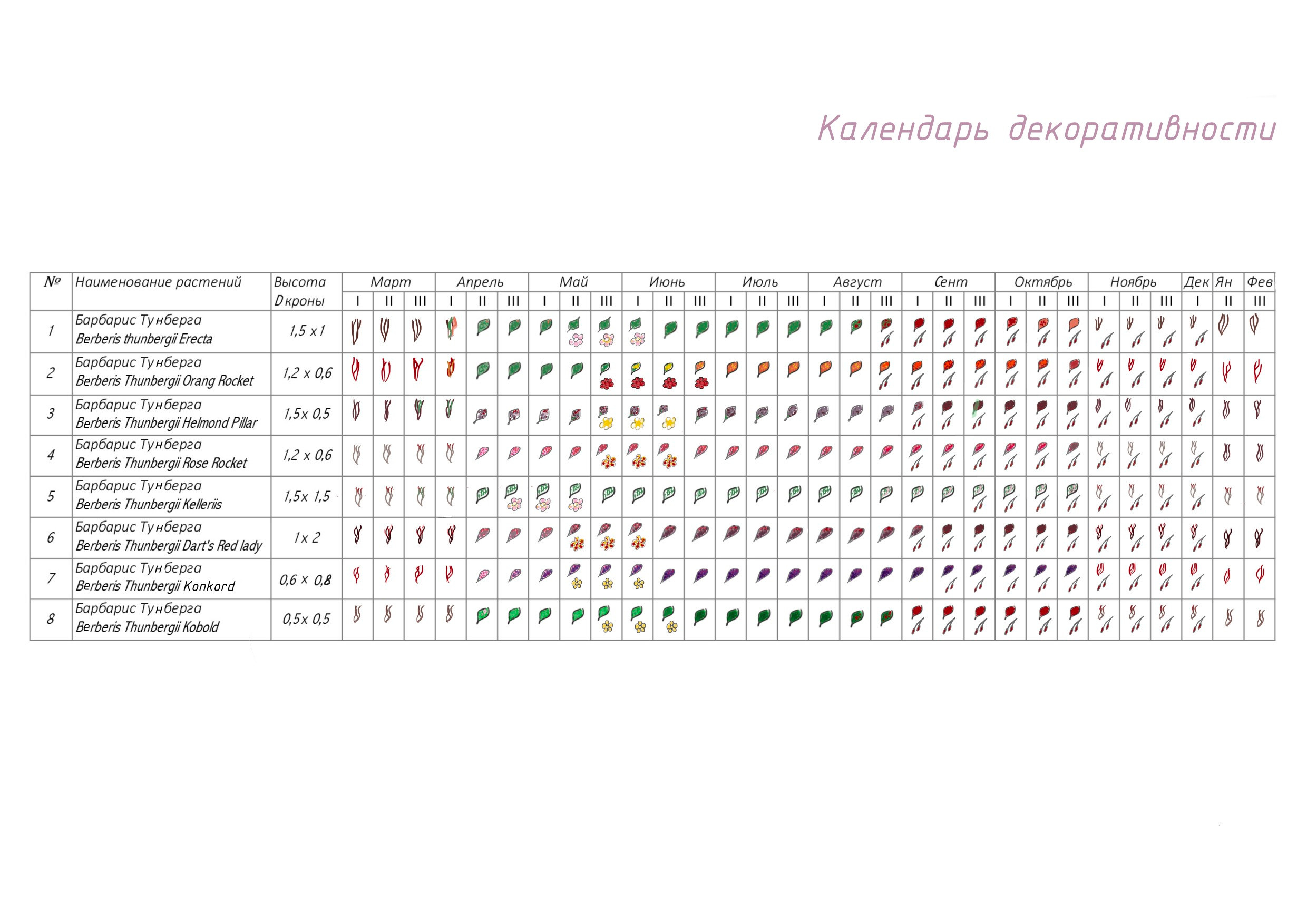 Сад-коллекция барбарисов. Студия ландшафтного дизайна в Москве. Love My Garden