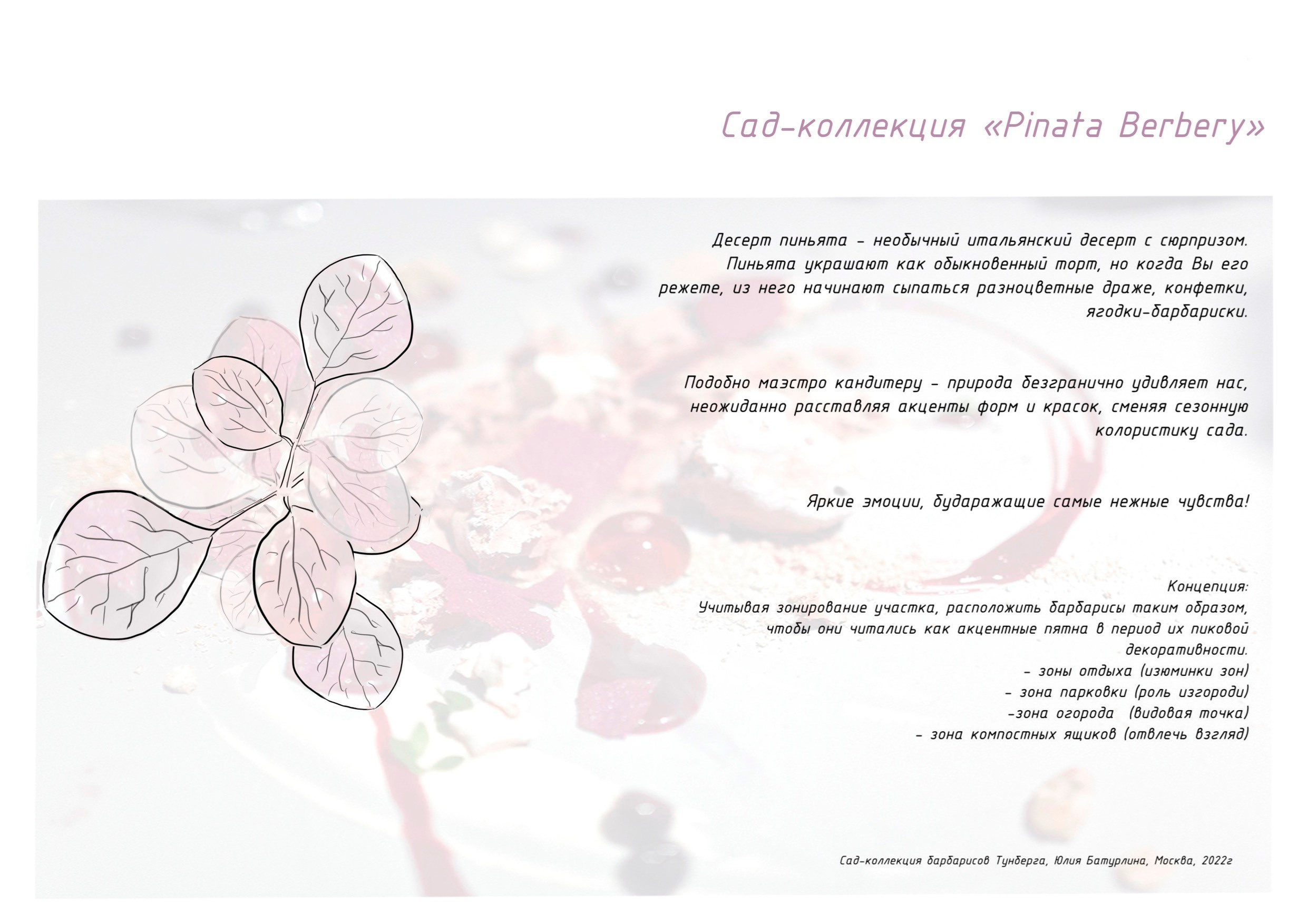 Сад-коллекция барбарисов. Студия ландшафтного дизайна в Москве. Love My Garden