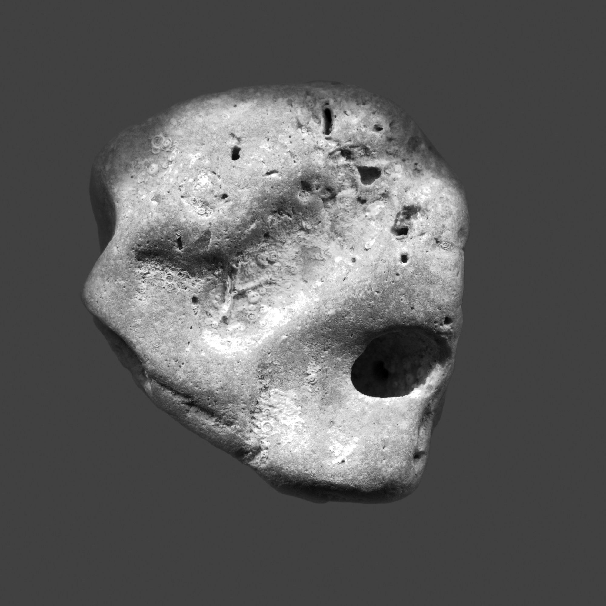 Черно-белое. Миша Печёнкин | фотография