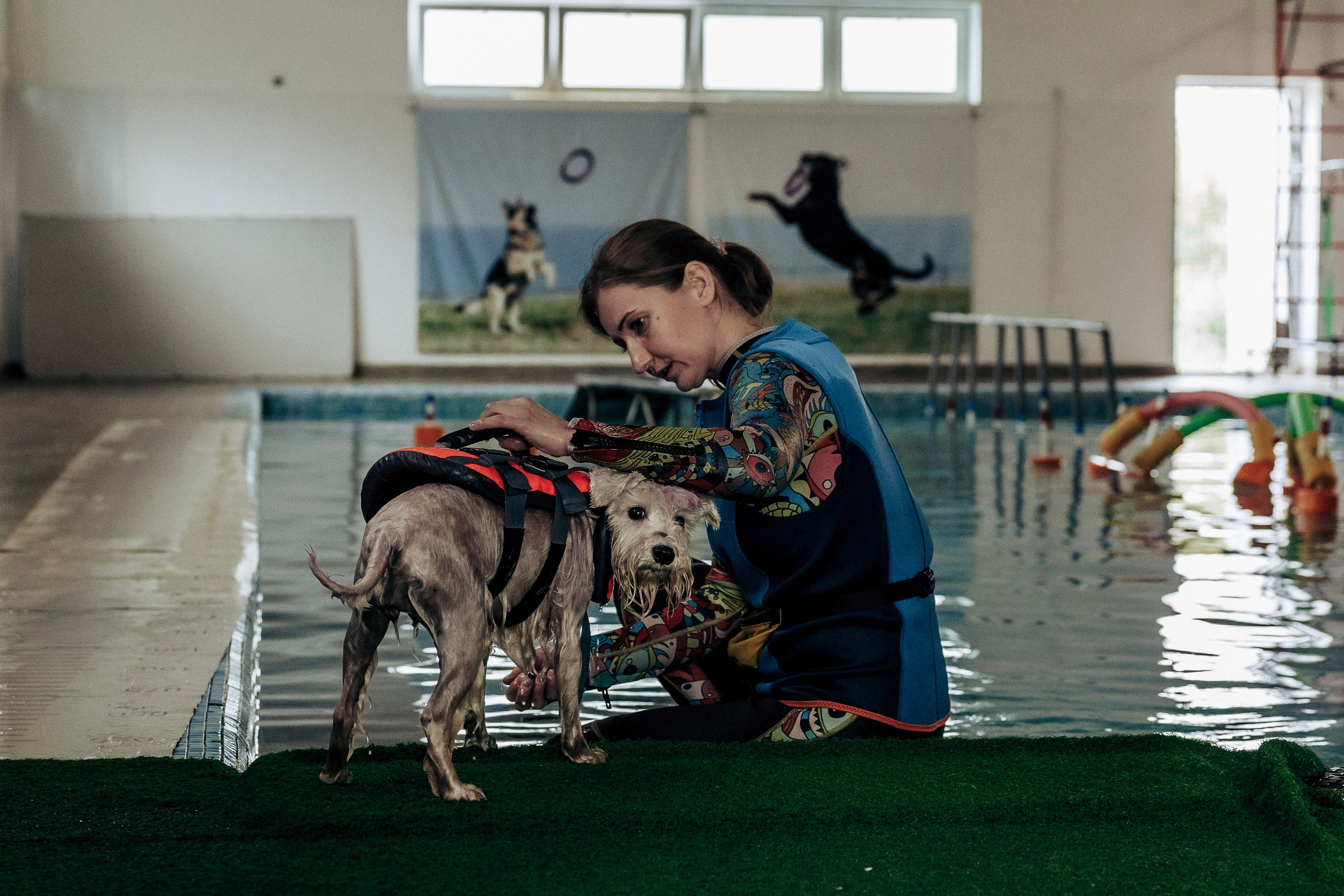 Репортажная фотосессия «День питомца-донора». Профессиональный фотограф в Санкт-Петербурге Александр Волосенцев