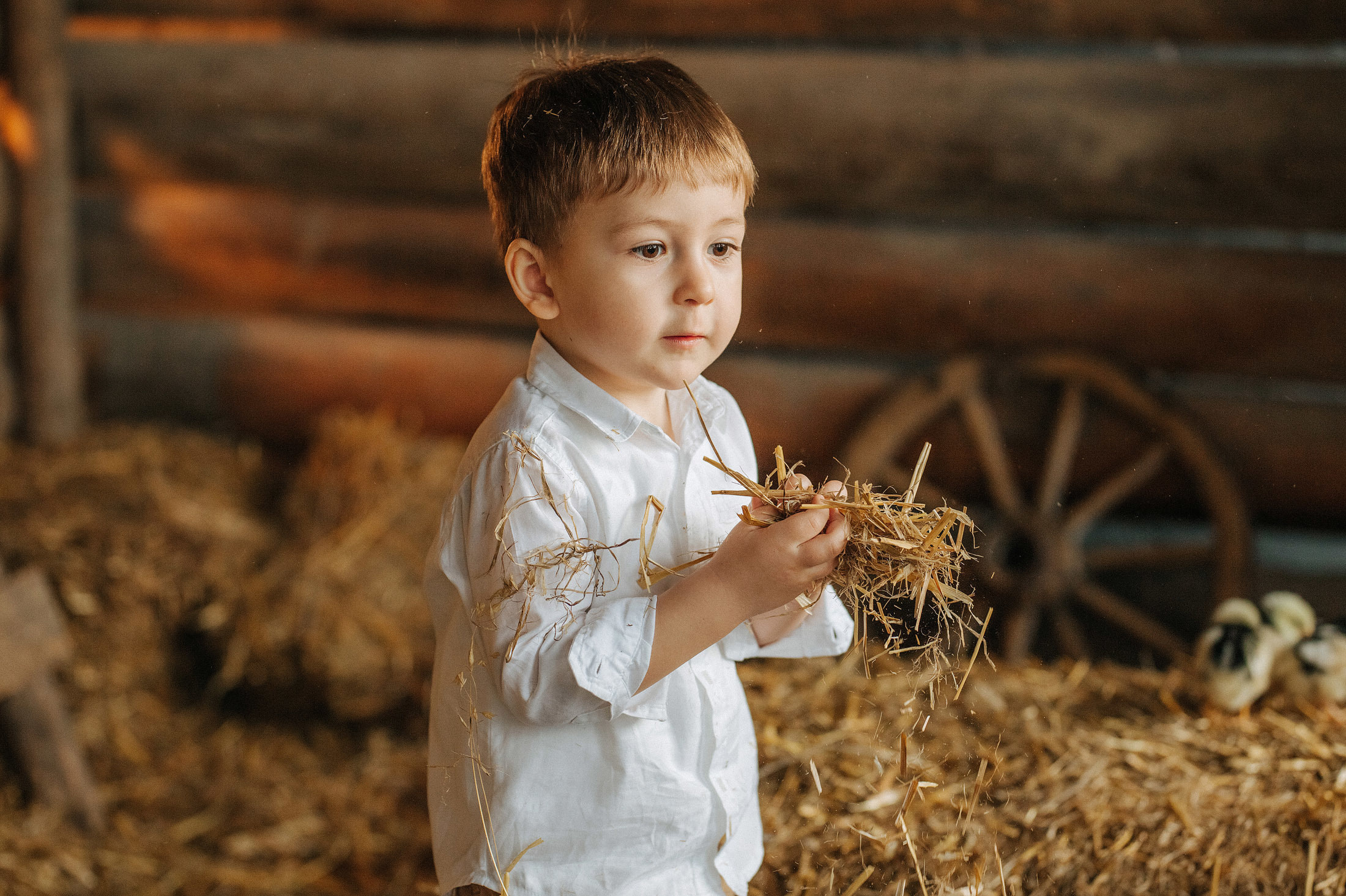 Снимаю с душой! Фотограф Ломакина Юлия. Анапа. 89618282827. Семейный, детский, свадебный, фотограф в городе Анапа