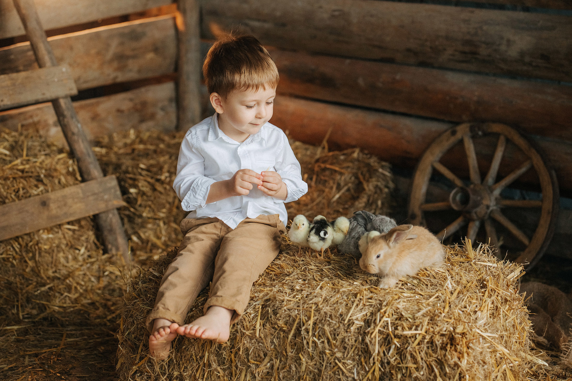 Снимаю с душой! Фотограф Ломакина Юлия. Анапа. 89618282827. Семейный, детский, свадебный, фотограф в городе Анапа