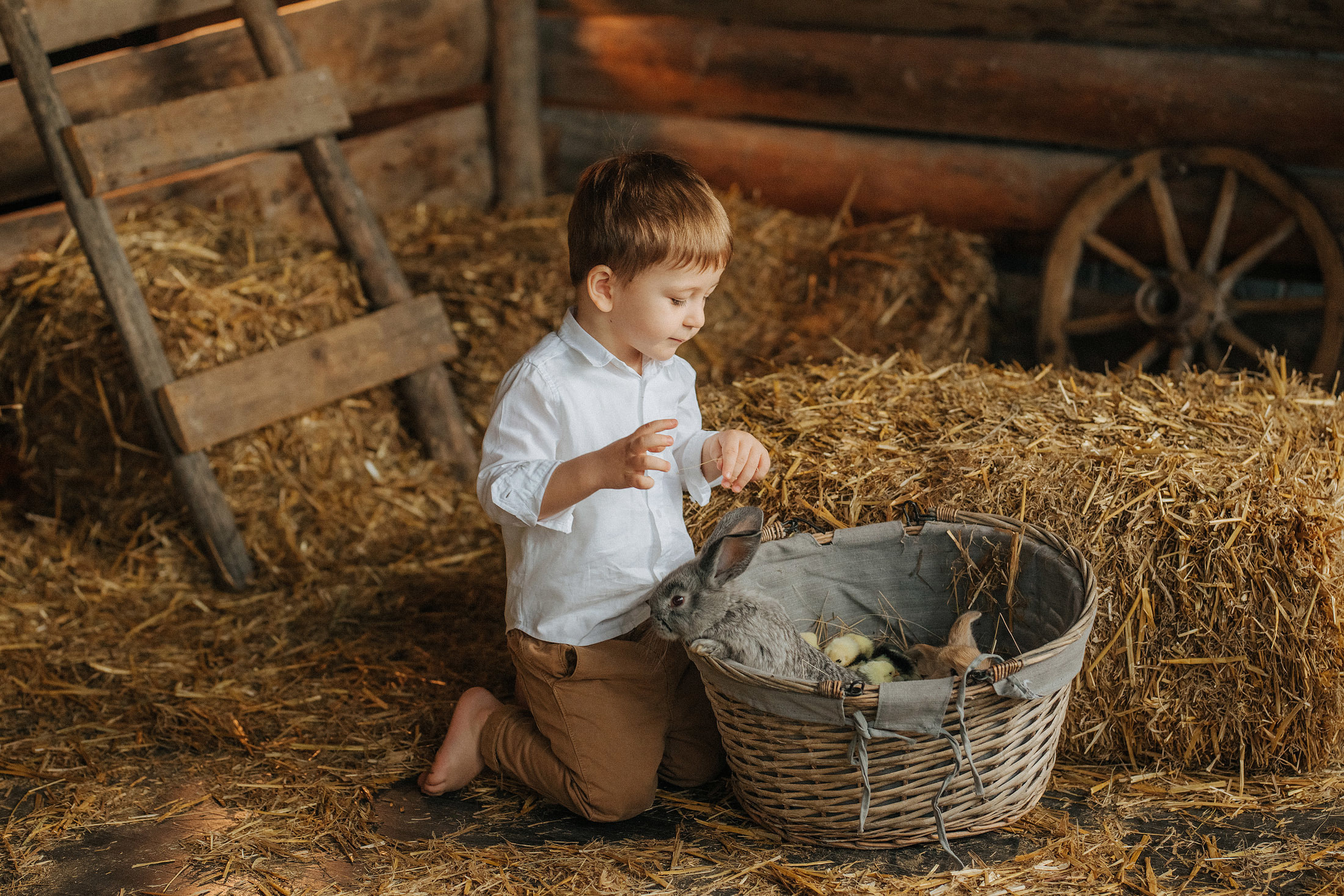 Снимаю с душой! Фотограф Ломакина Юлия. Анапа. 89618282827. Семейный, детский, свадебный, фотограф в городе Анапа