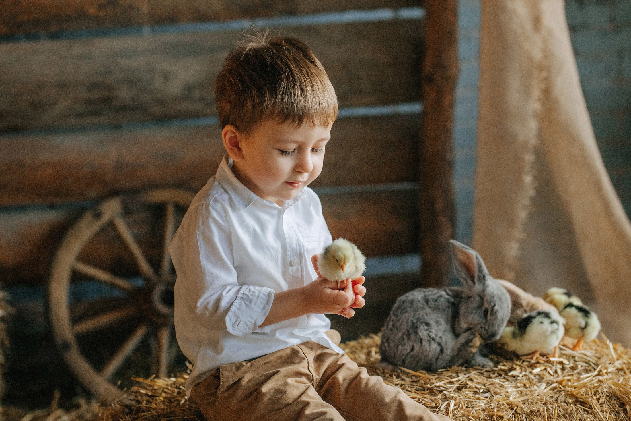 Снимаю с душой! Фотограф Ломакина Юлия. Анапа. 89618282827. Семейный, детский, свадебный, фотограф в городе Анапа
