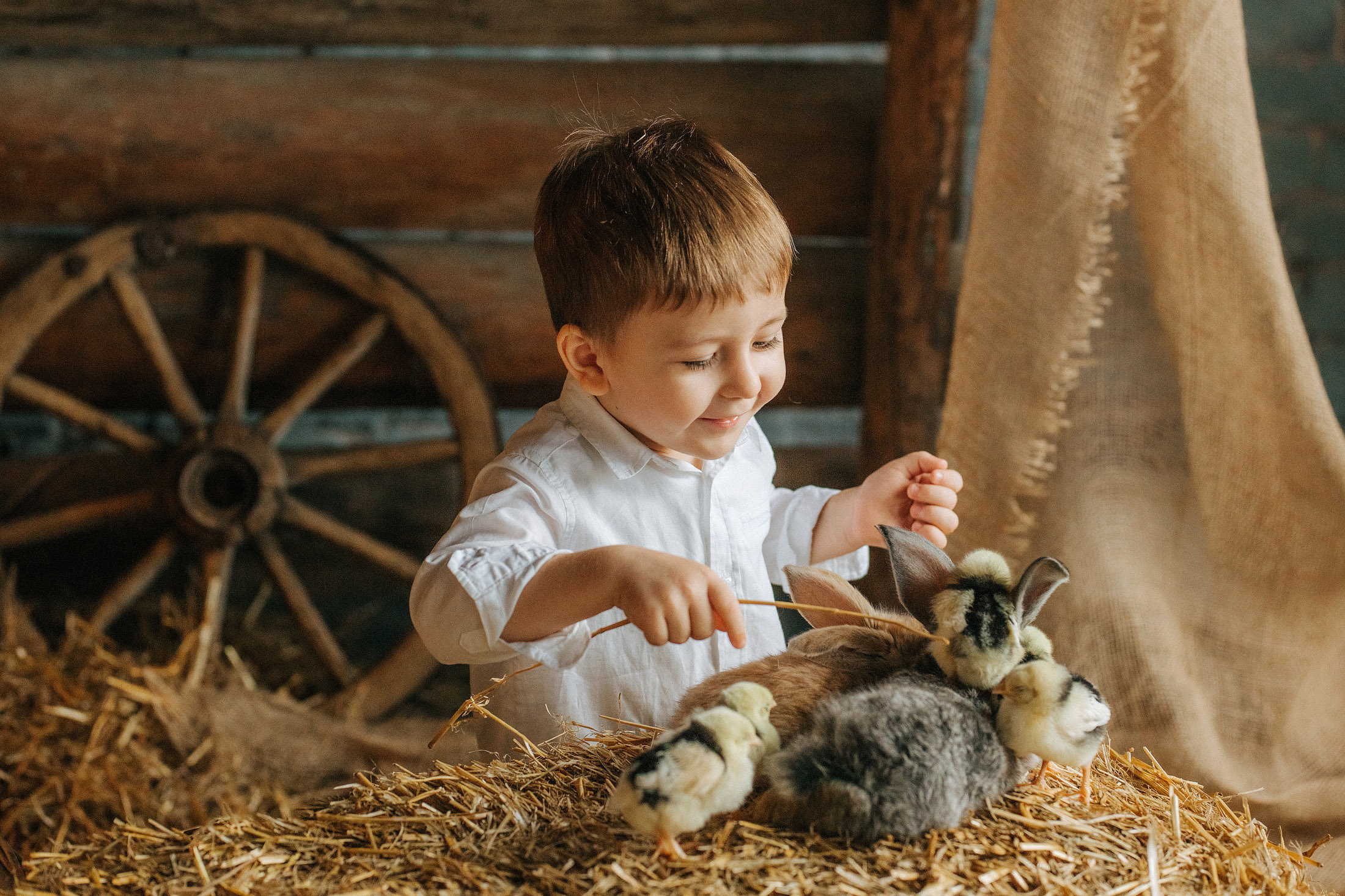 Снимаю с душой! Фотограф Ломакина Юлия. Анапа. 89618282827. Семейный, детский, свадебный, фотограф в городе Анапа