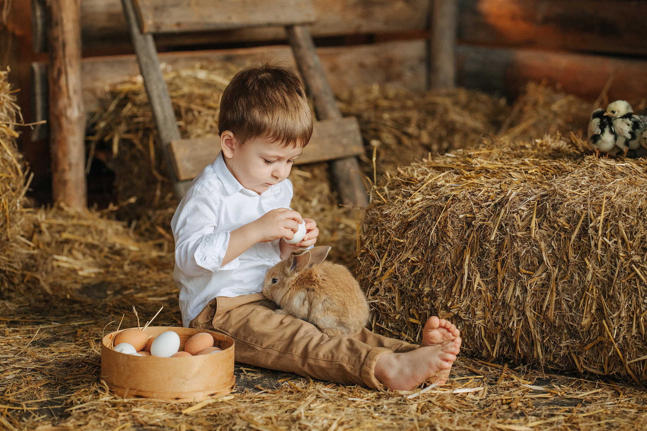 Снимаю с душой! Фотограф Ломакина Юлия. Анапа. 89618282827. Семейный, детский, свадебный, фотограф в городе Анапа