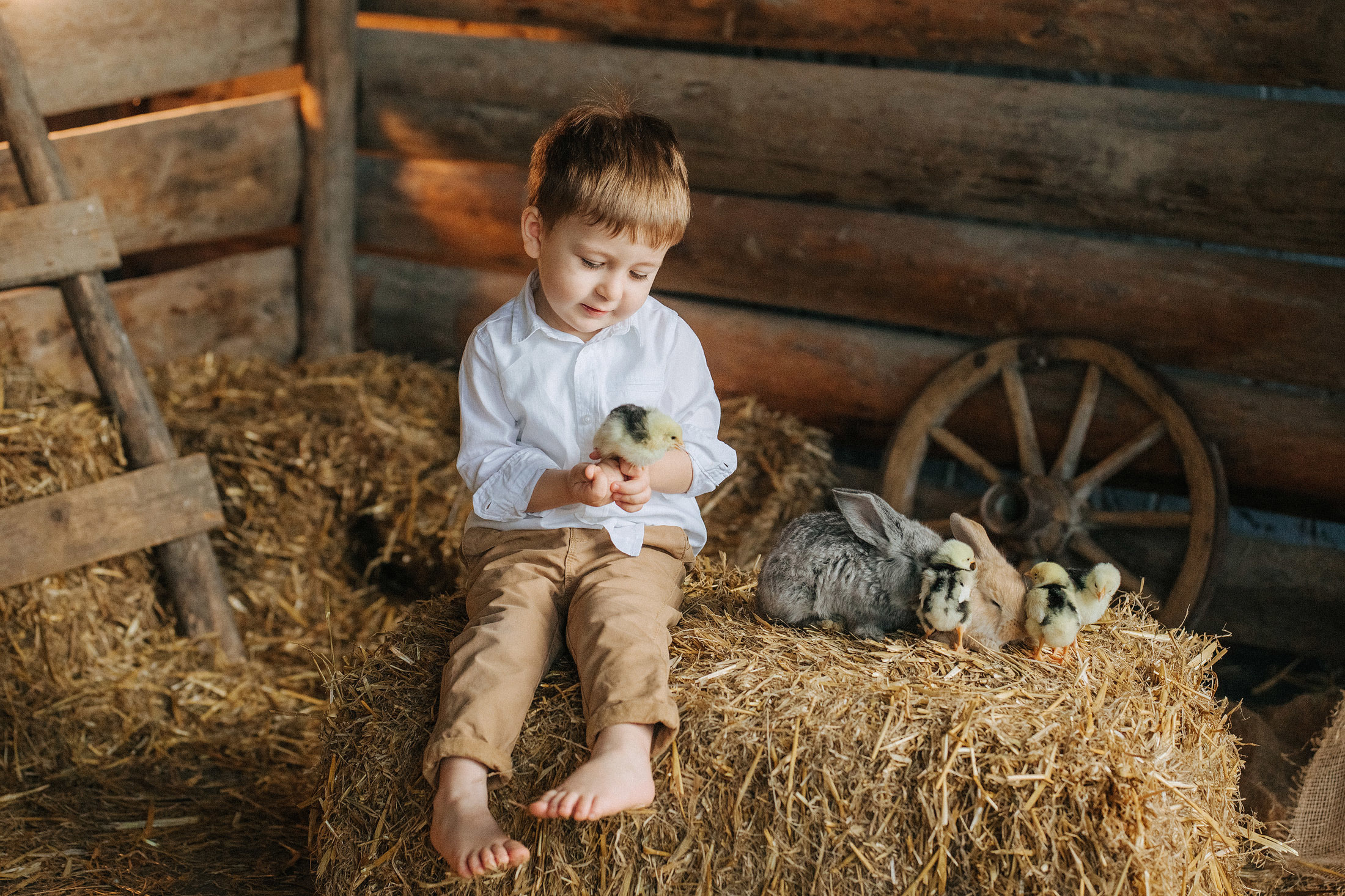 Снимаю с душой! Фотограф Ломакина Юлия. Анапа. 89618282827. Семейный, детский, свадебный, фотограф в городе Анапа