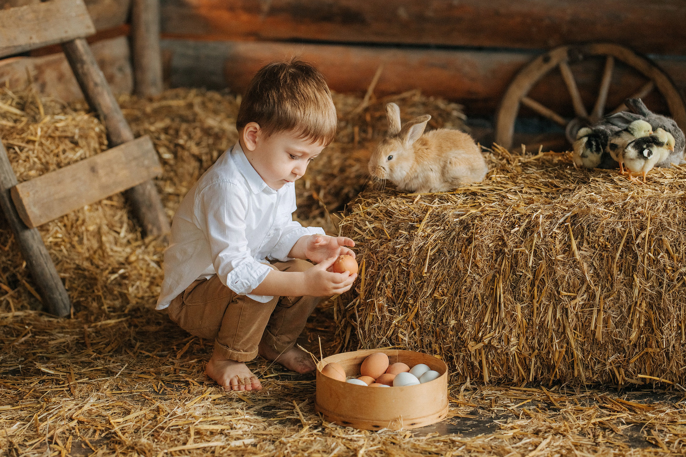 Снимаю с душой! Фотограф Ломакина Юлия. Анапа. 89618282827. Семейный, детский, свадебный, фотограф в городе Анапа