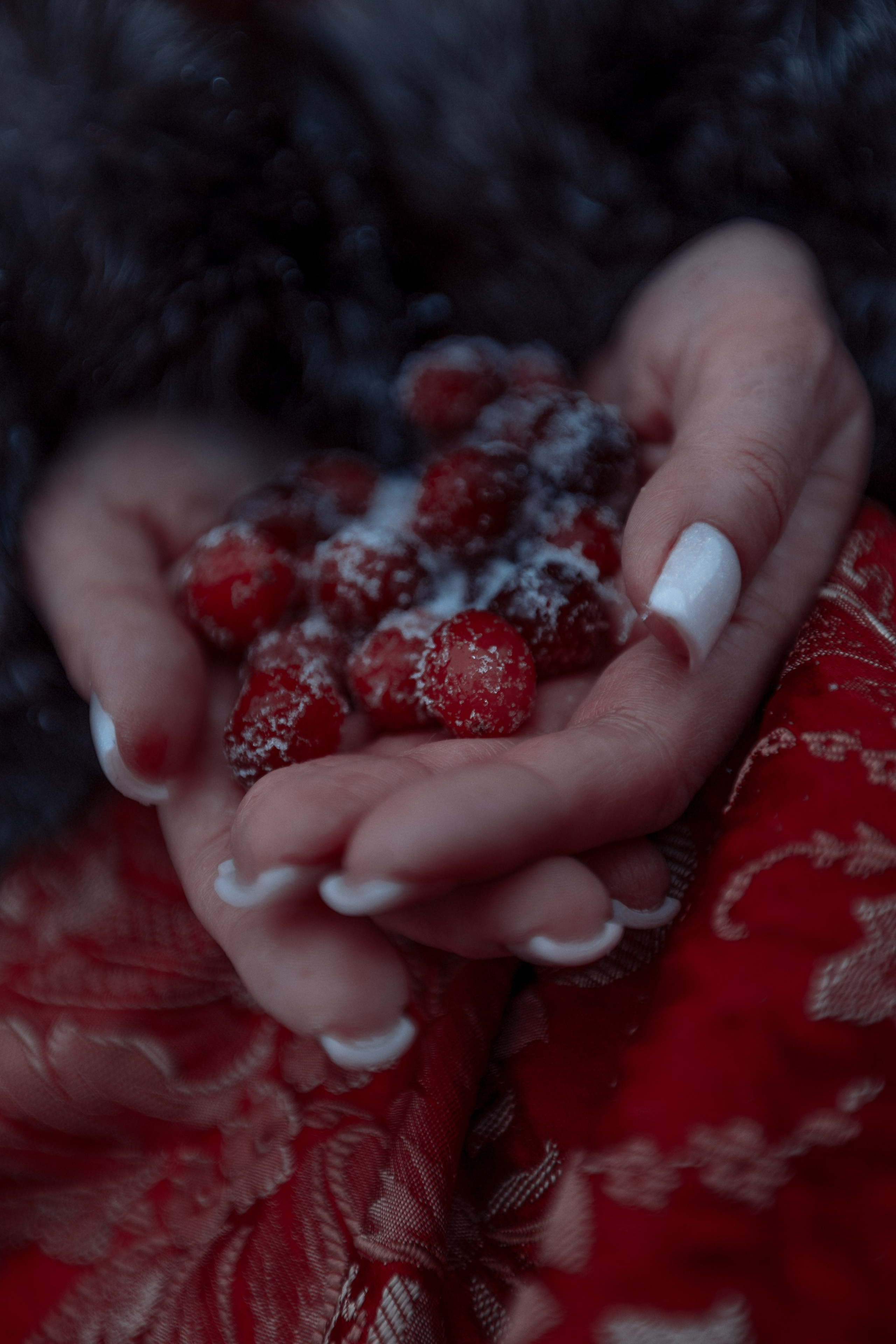 Клюква. Фотограф Алёна Яковлева