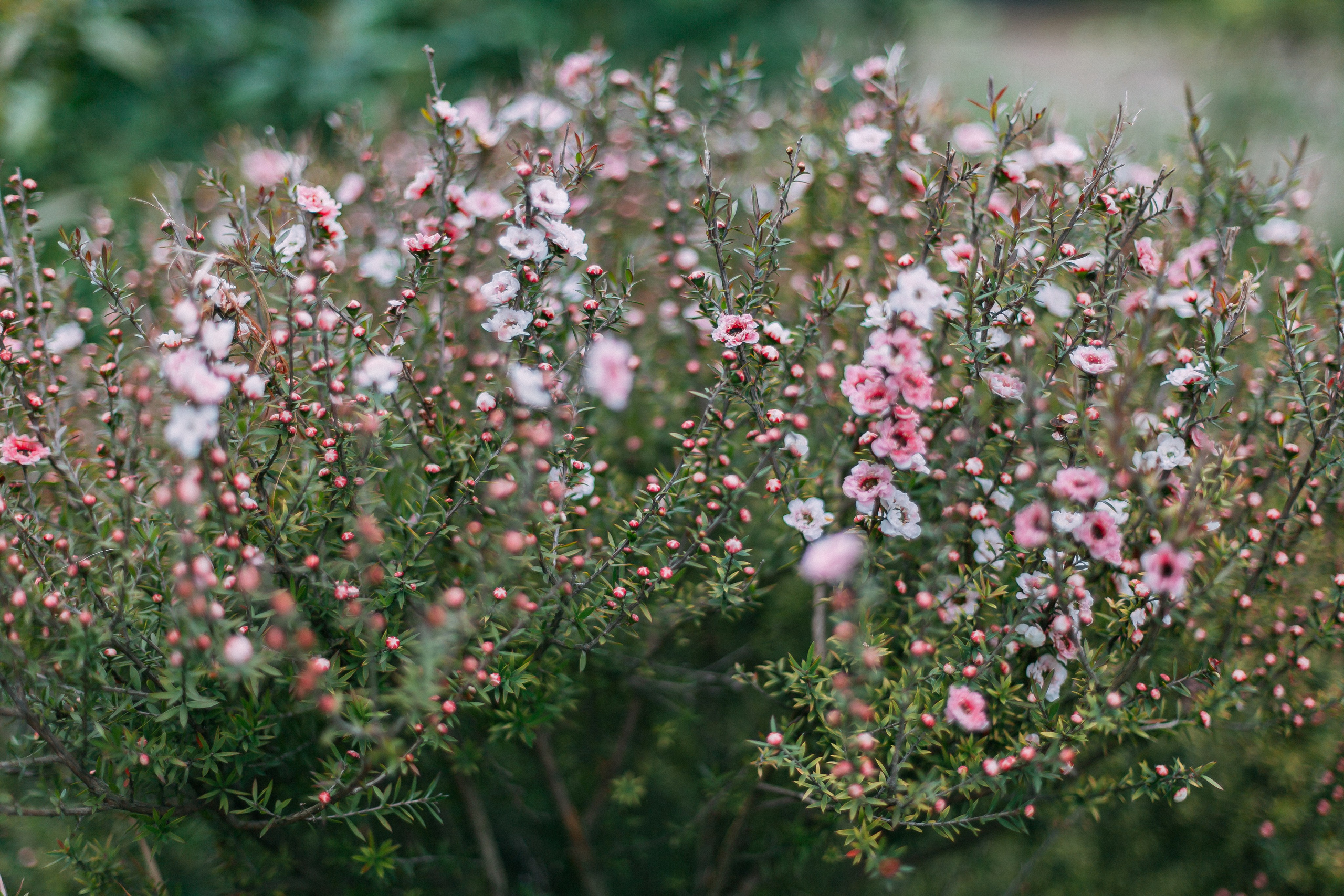 Сочи. Аня Степанова
