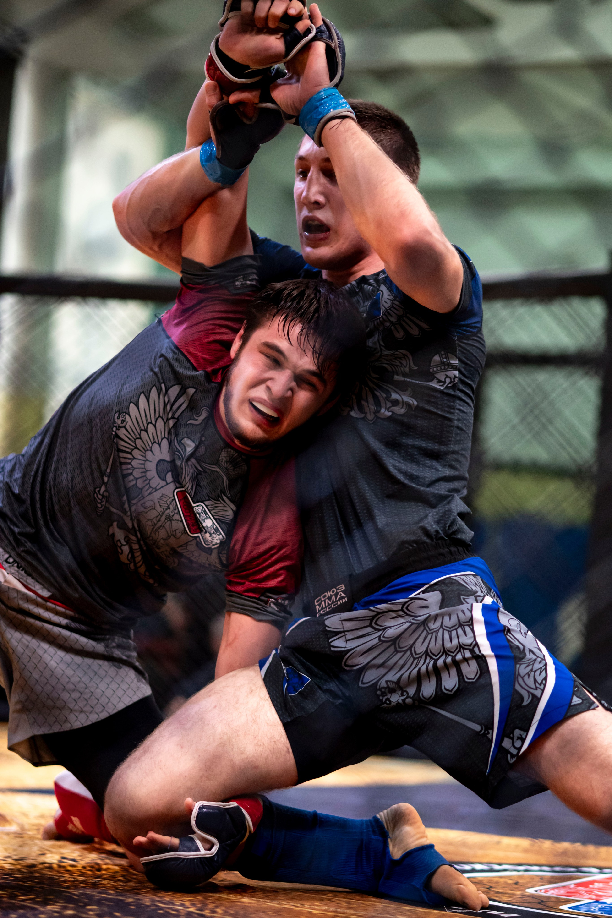 Всероссийский турнир ММА. Новомосковск, ноябрь 2025. Спортивный фотограф в Туле и Тульской области. Файсханова Фото Спорт