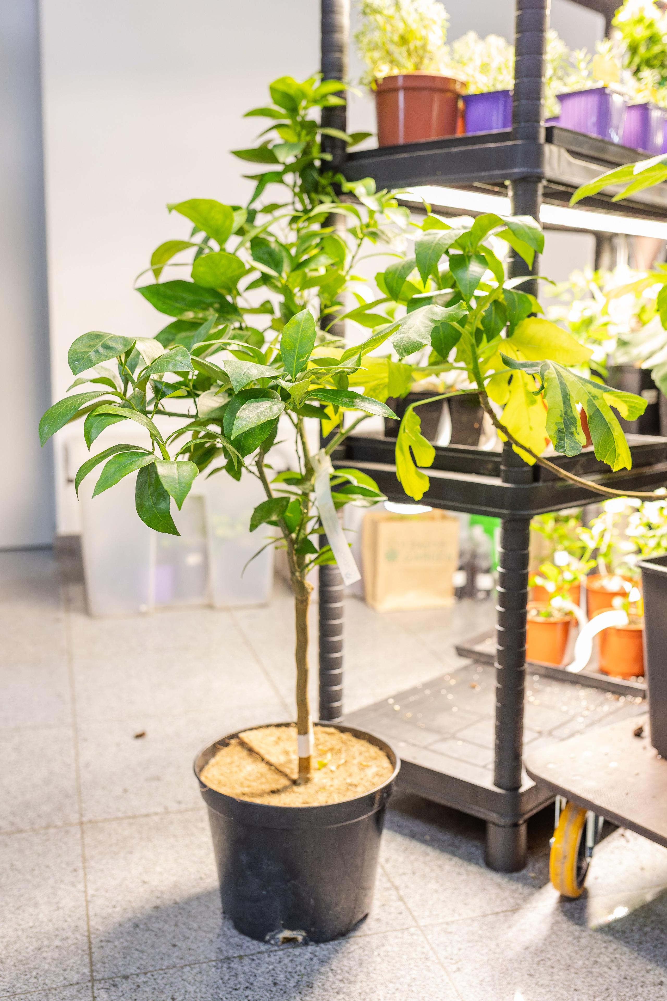 Монстериум апрель 2026. Александра Куликова фотограф, Москва