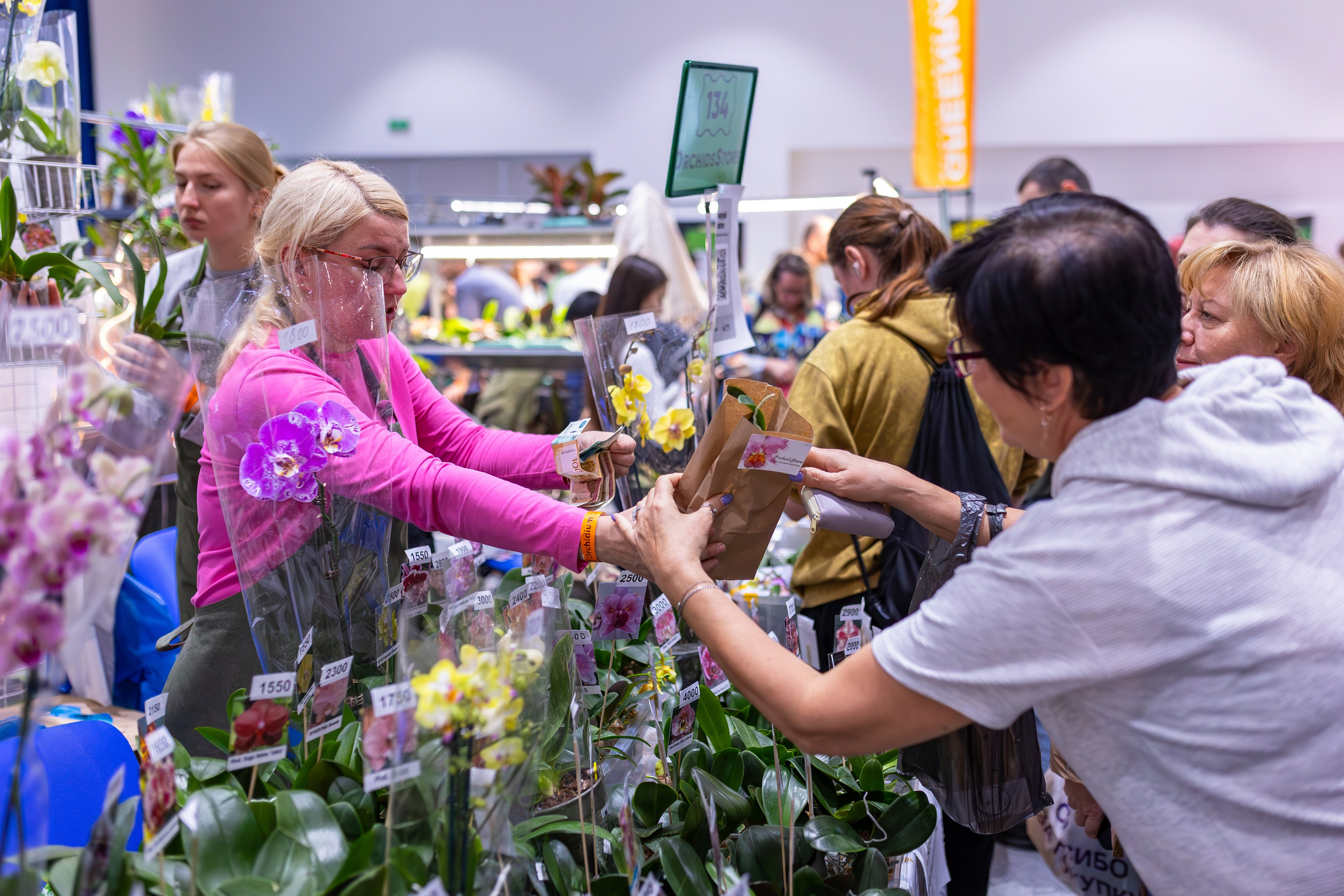 Орхидиум сентябрь 2025. Александра Куликова фотограф, Москва